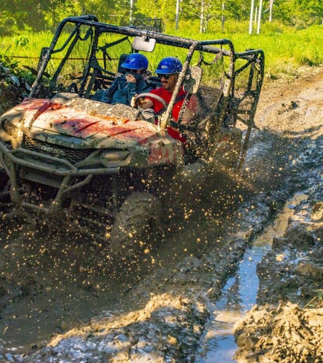 Buggy + Monkey Land Combo