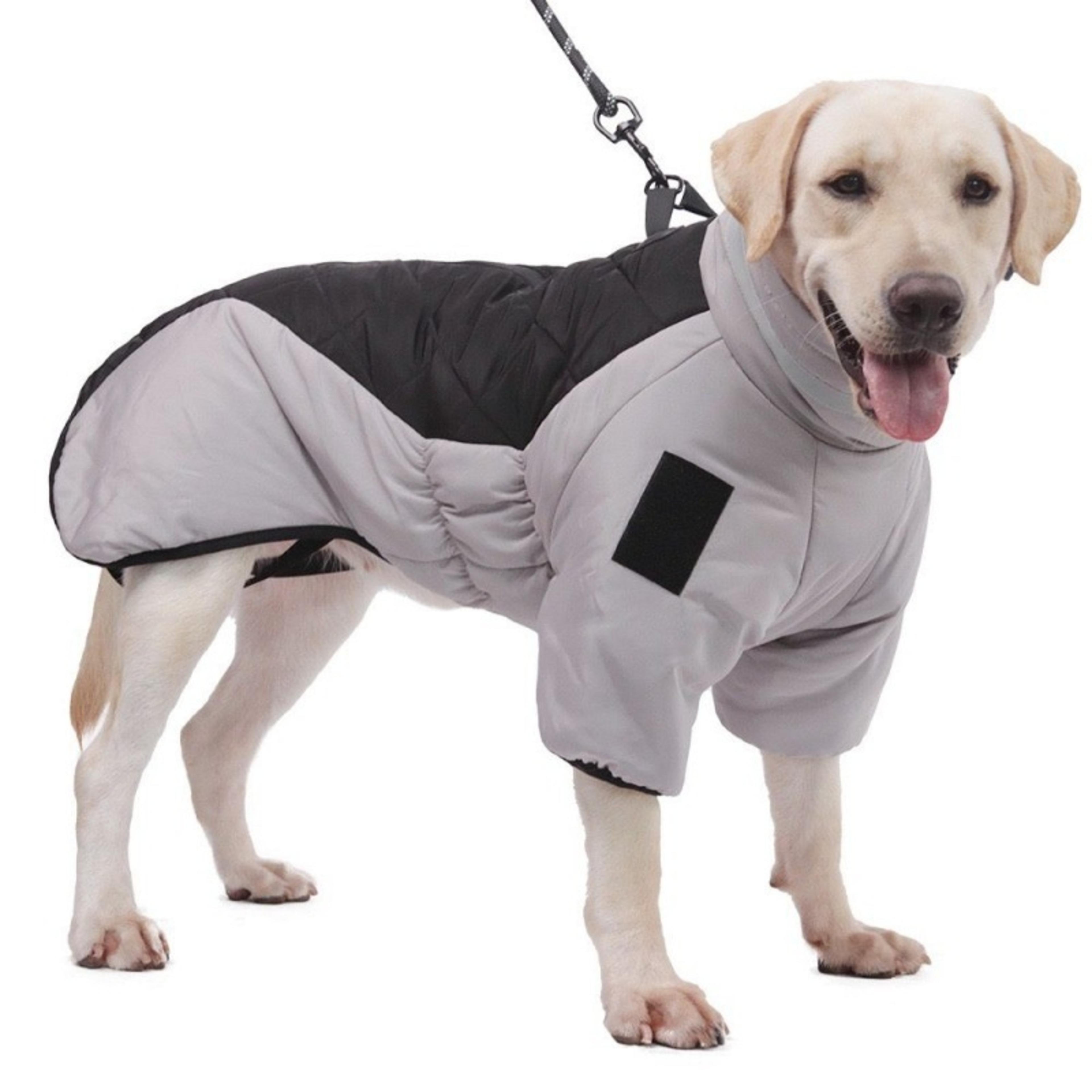 Manteau d'Hiver Réfléchissant Grand Chien