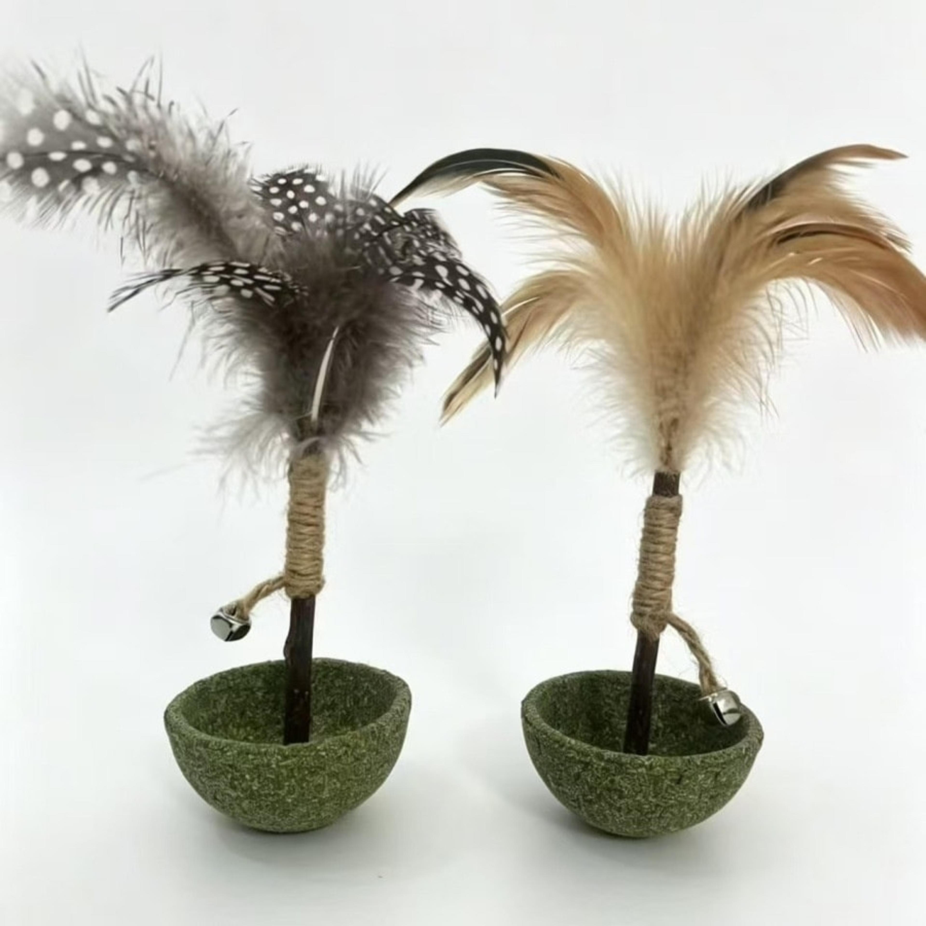 Culbuto à Plumes Herbe-à-Chat — photo 2