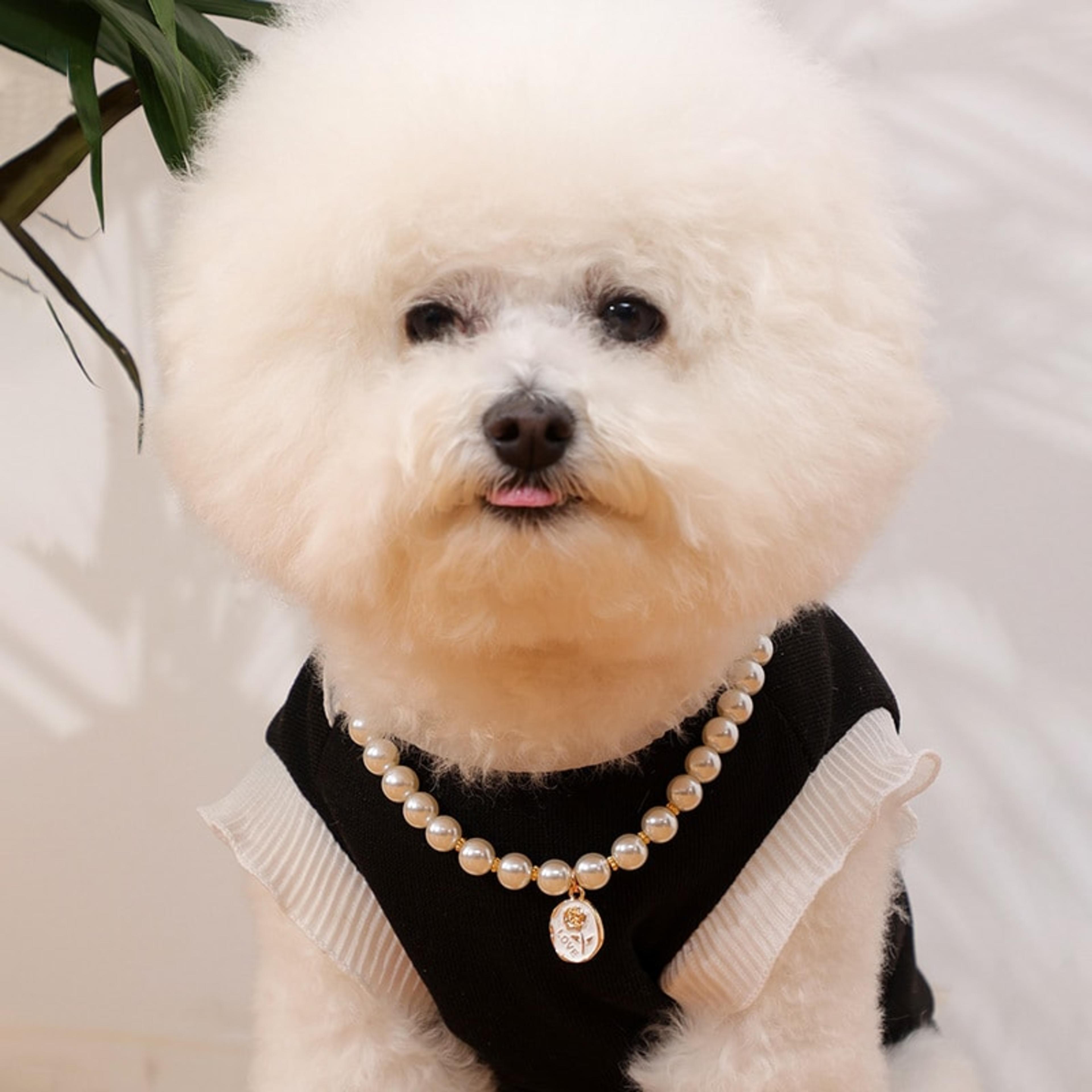 Collier Perles & Médaillon — photo 6