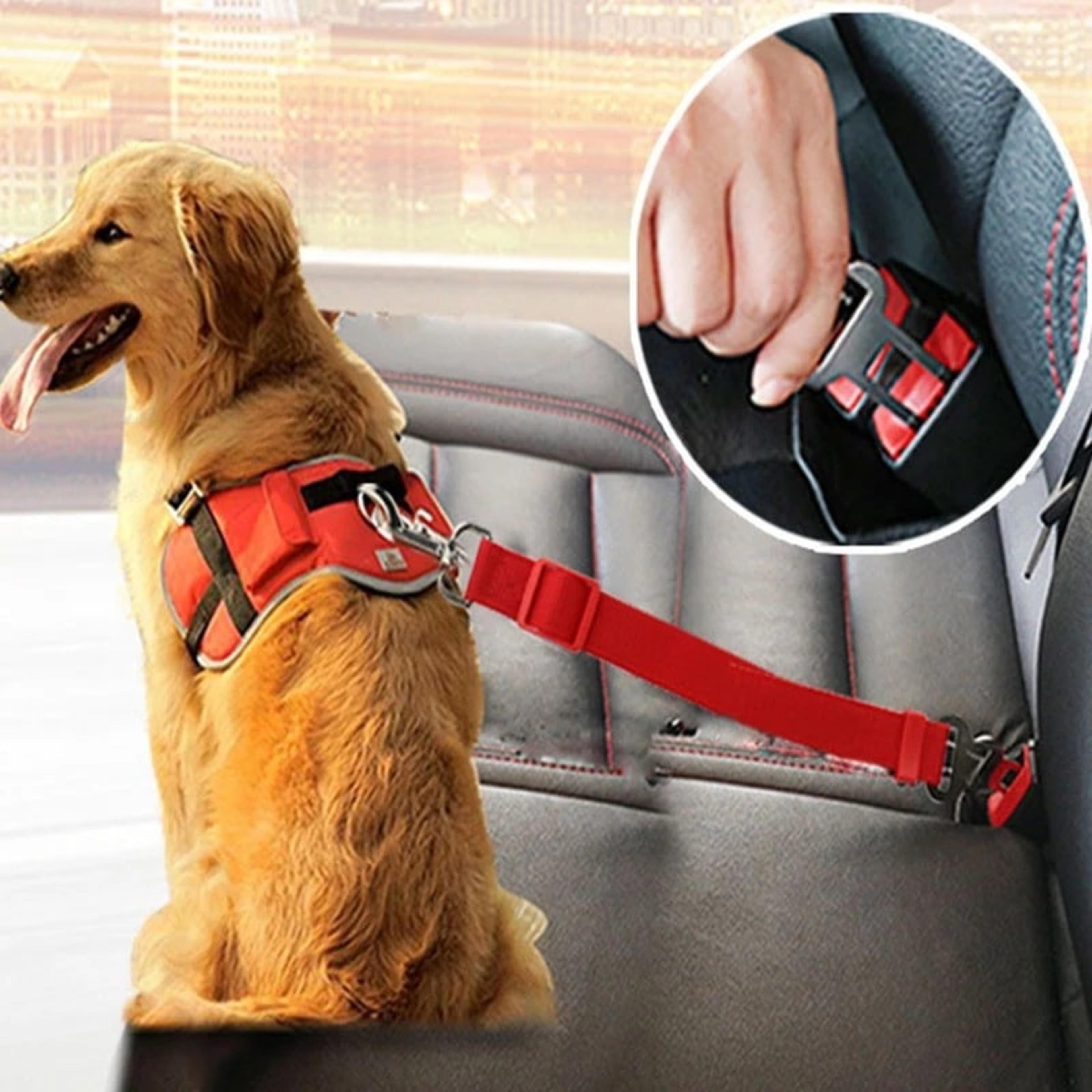 Ceinture de Sécurité Voiture pour Chien — photo 1