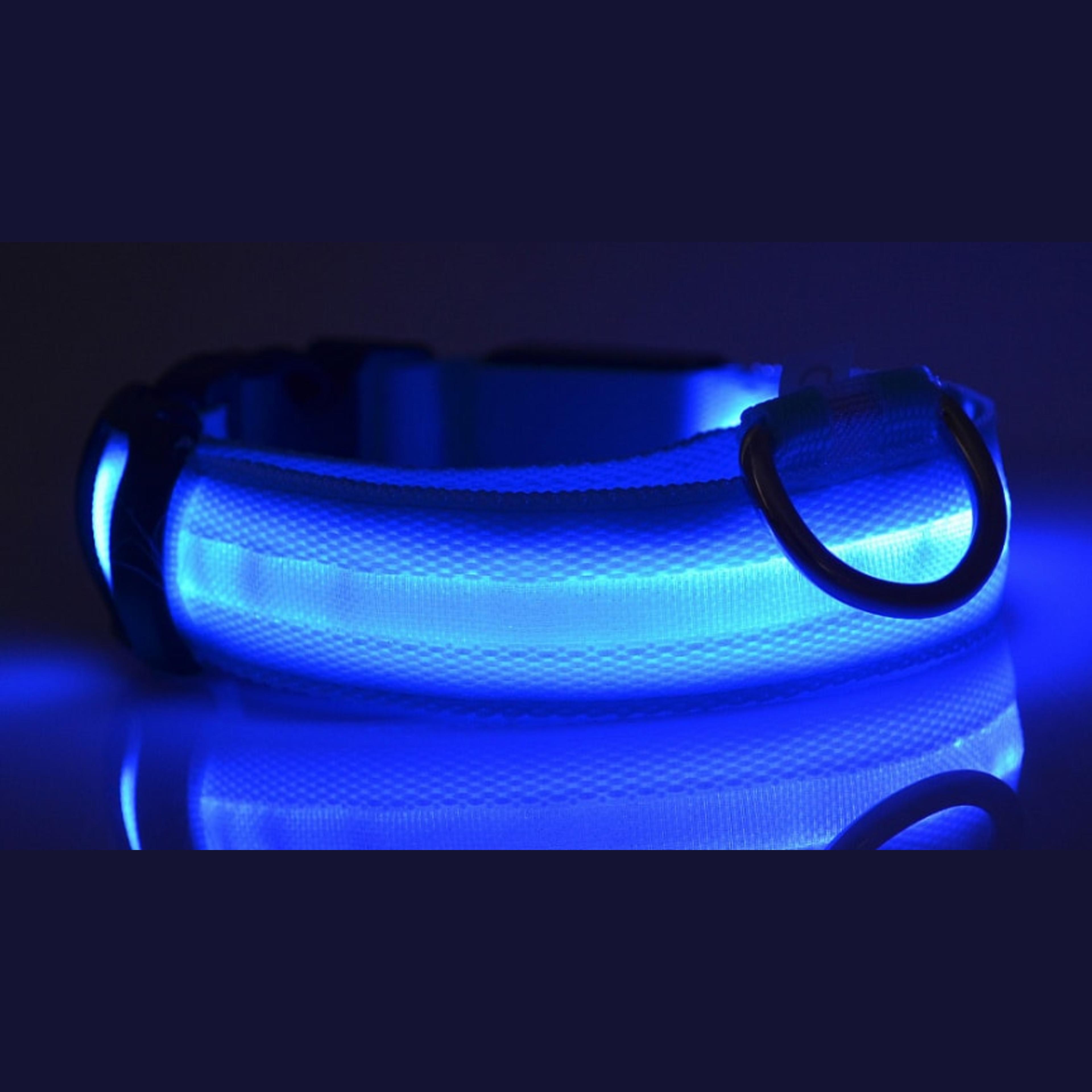 Collier LED Lumineux pour Sorties Nocturnes — photo 2