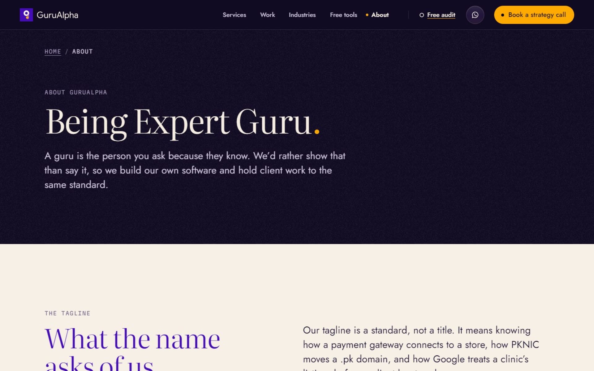 Website for GuruAlpha, a digital agency for Pakistan and the Gulf, About page: Being Expert Guru