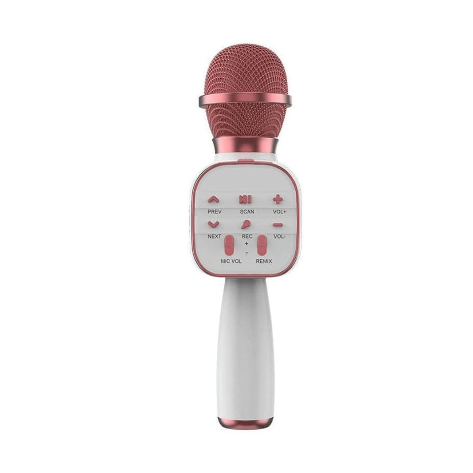 ميكروفون لاسلكي وسماعة Hi-Fi للأطفال (DS813)