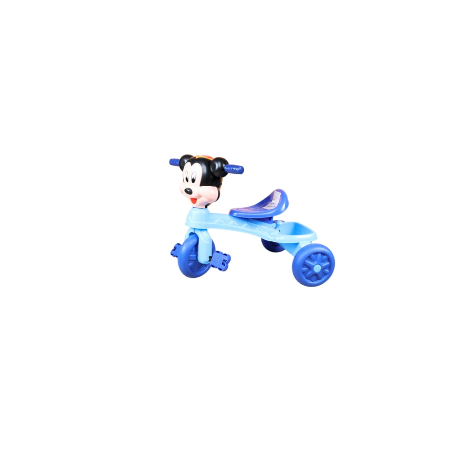 Tricycle 209