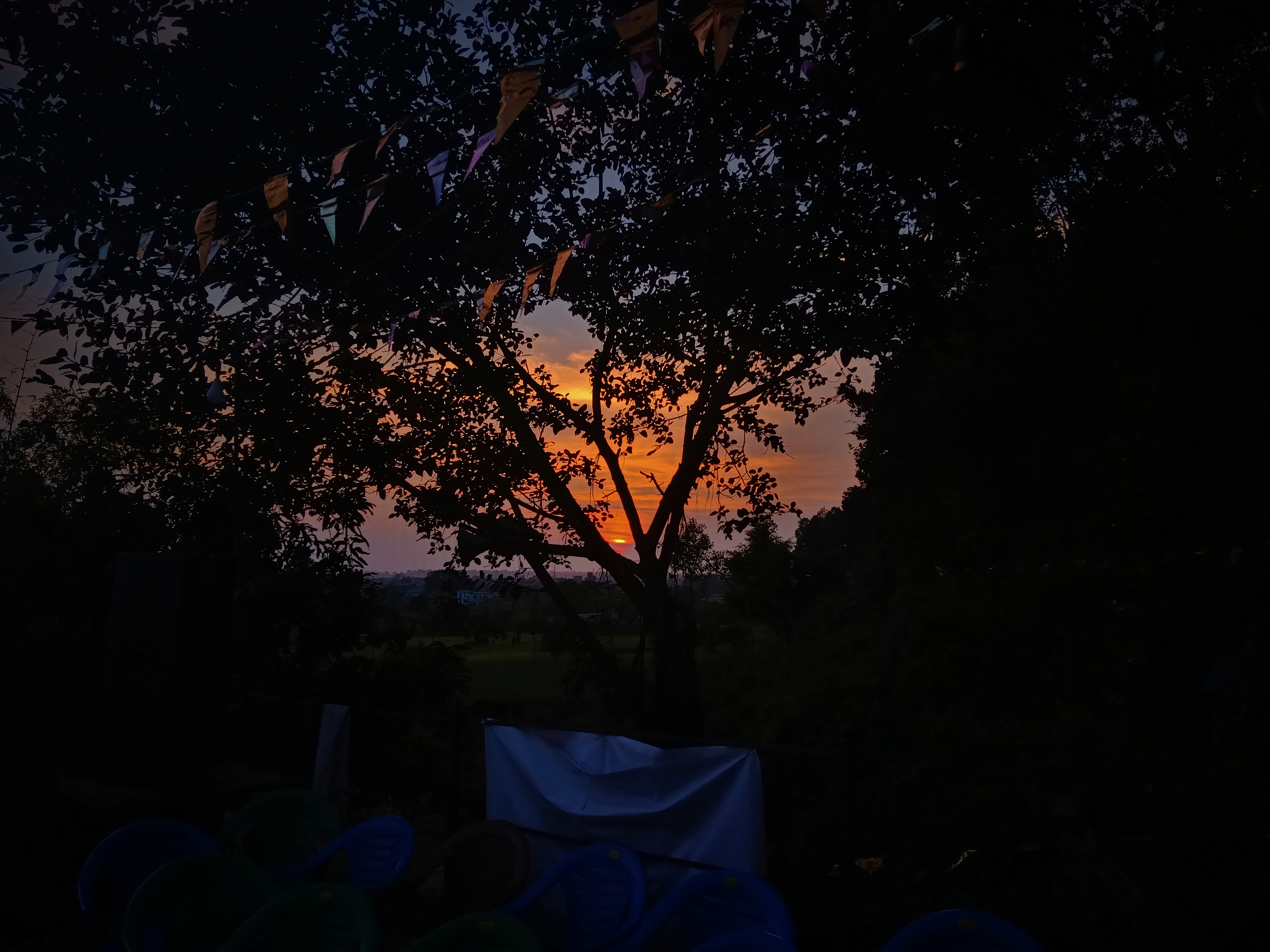 Silhouetted Sunset Canopy
