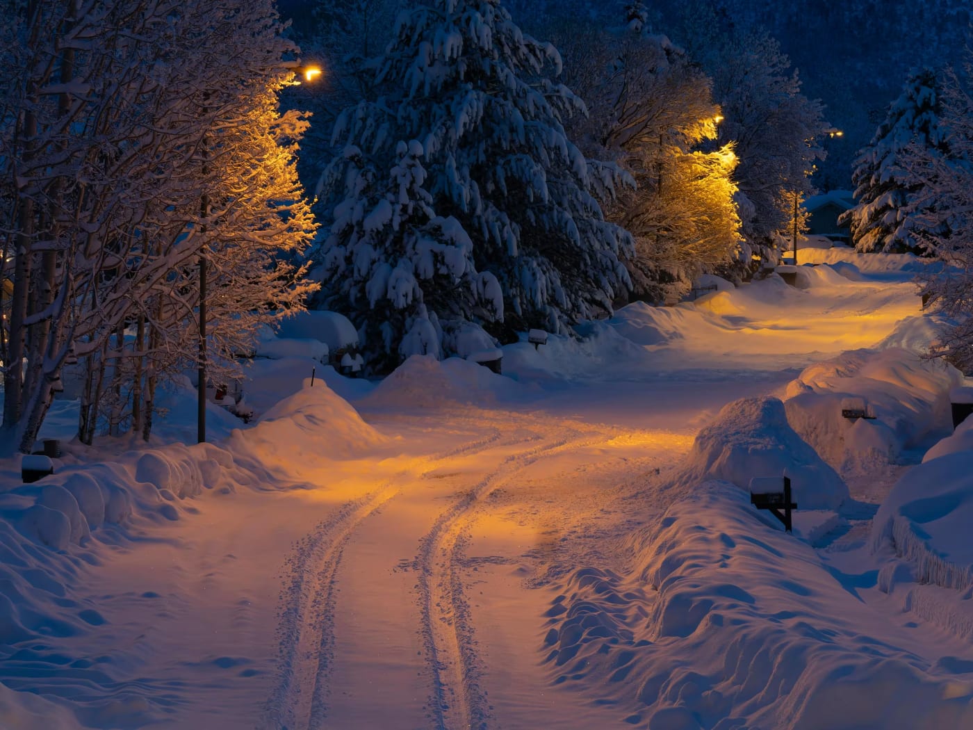 Snow-covered winter landscape near Flagstaff, Arizona