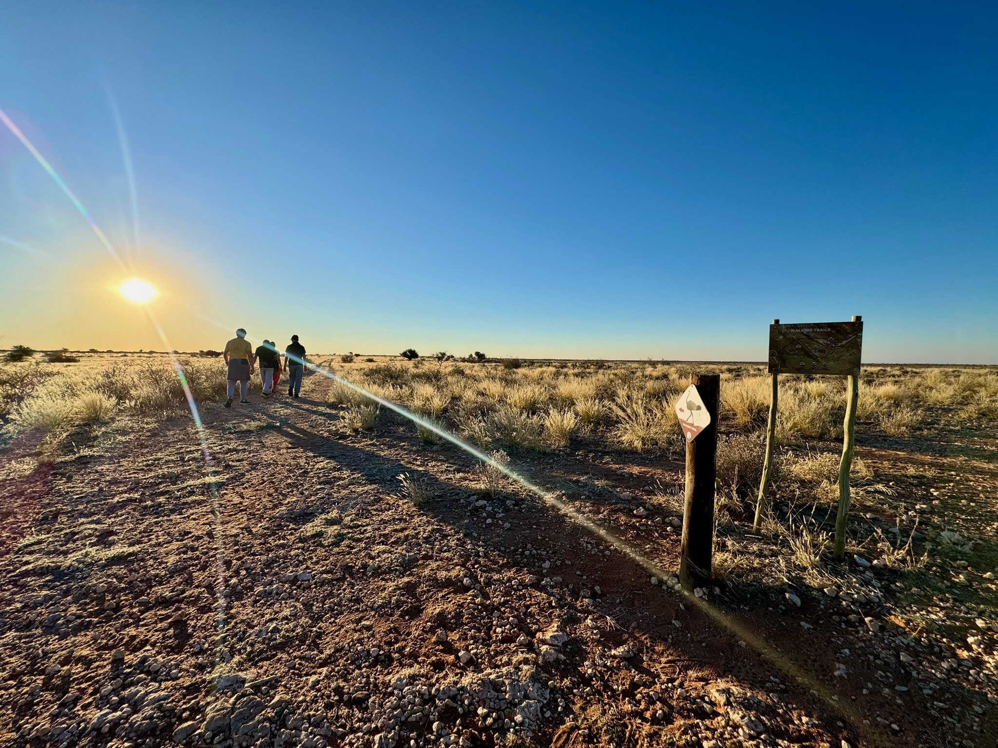 Windhoek → Kalahari 3