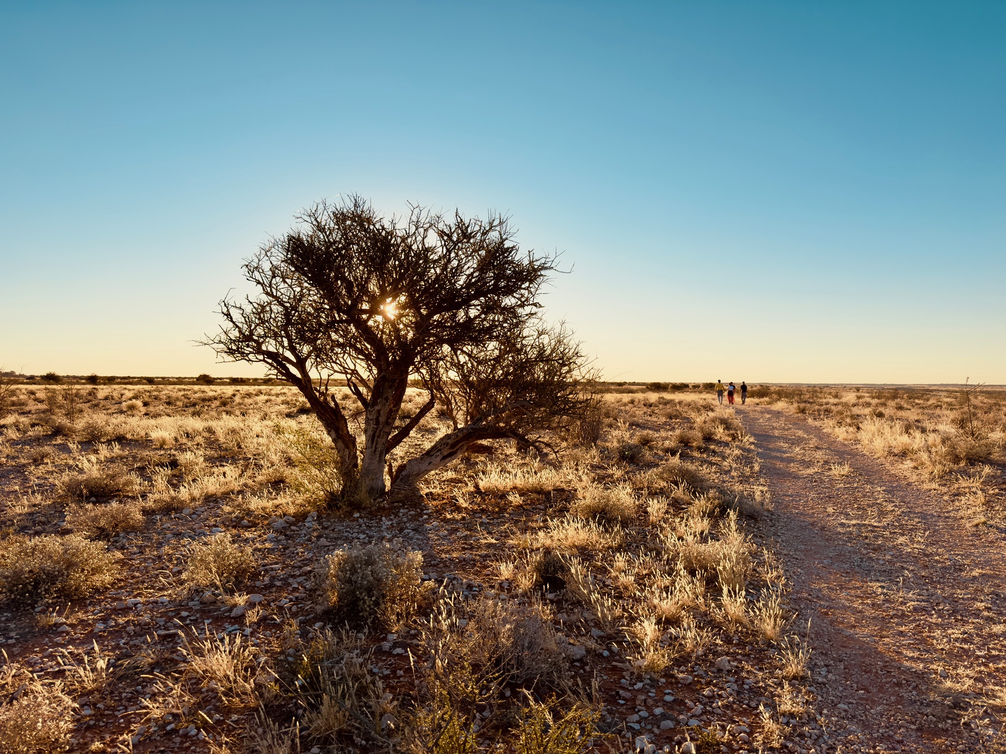 Windhoek → Kalahari 4