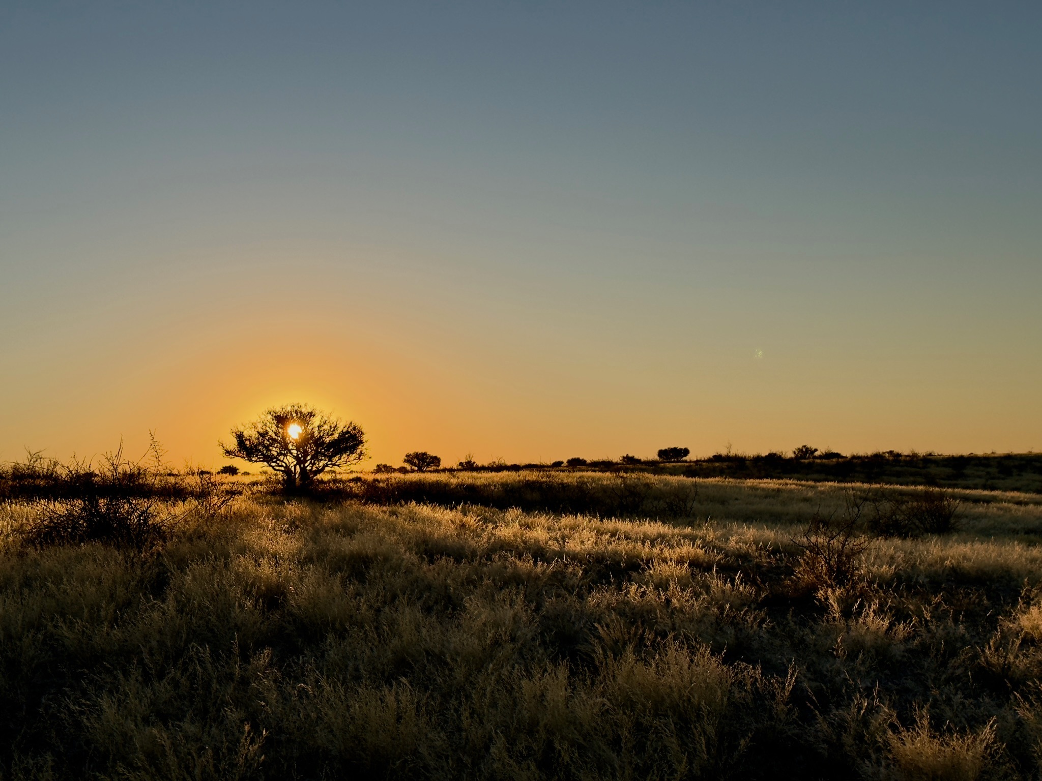 Windhoek → Kalahari 5