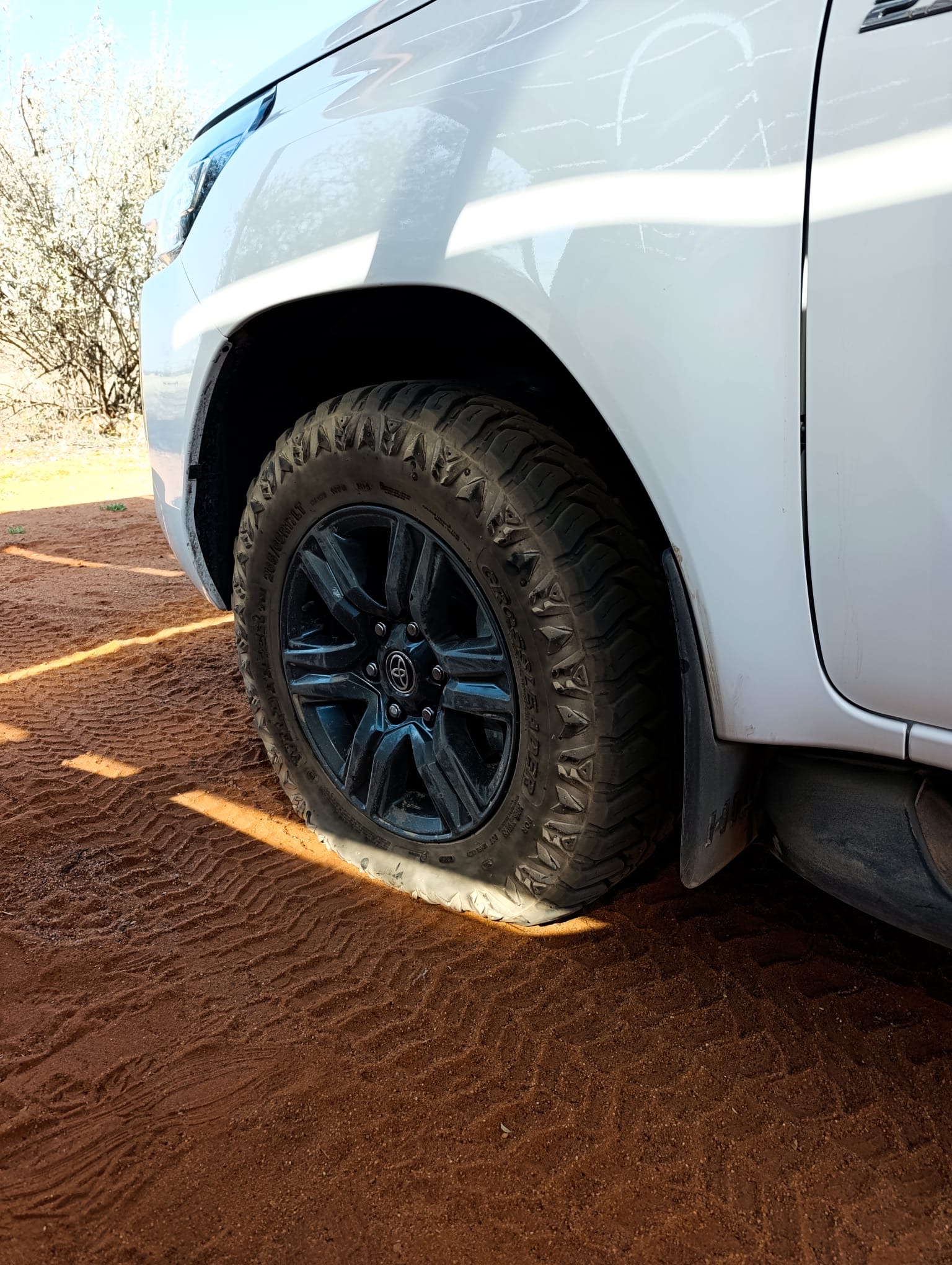 Day in the Kalahari 1