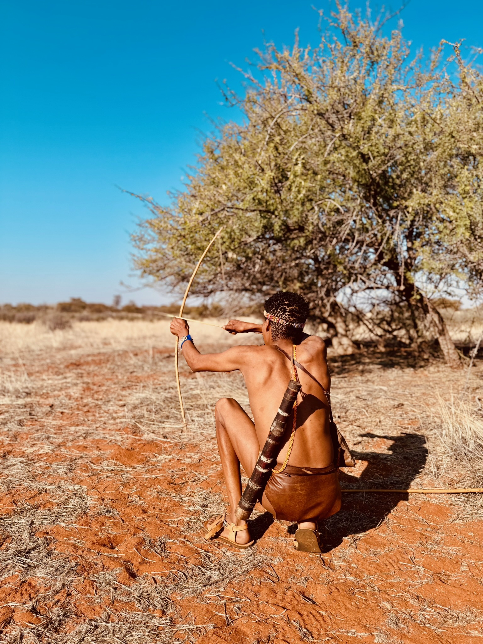Day in the Kalahari 5