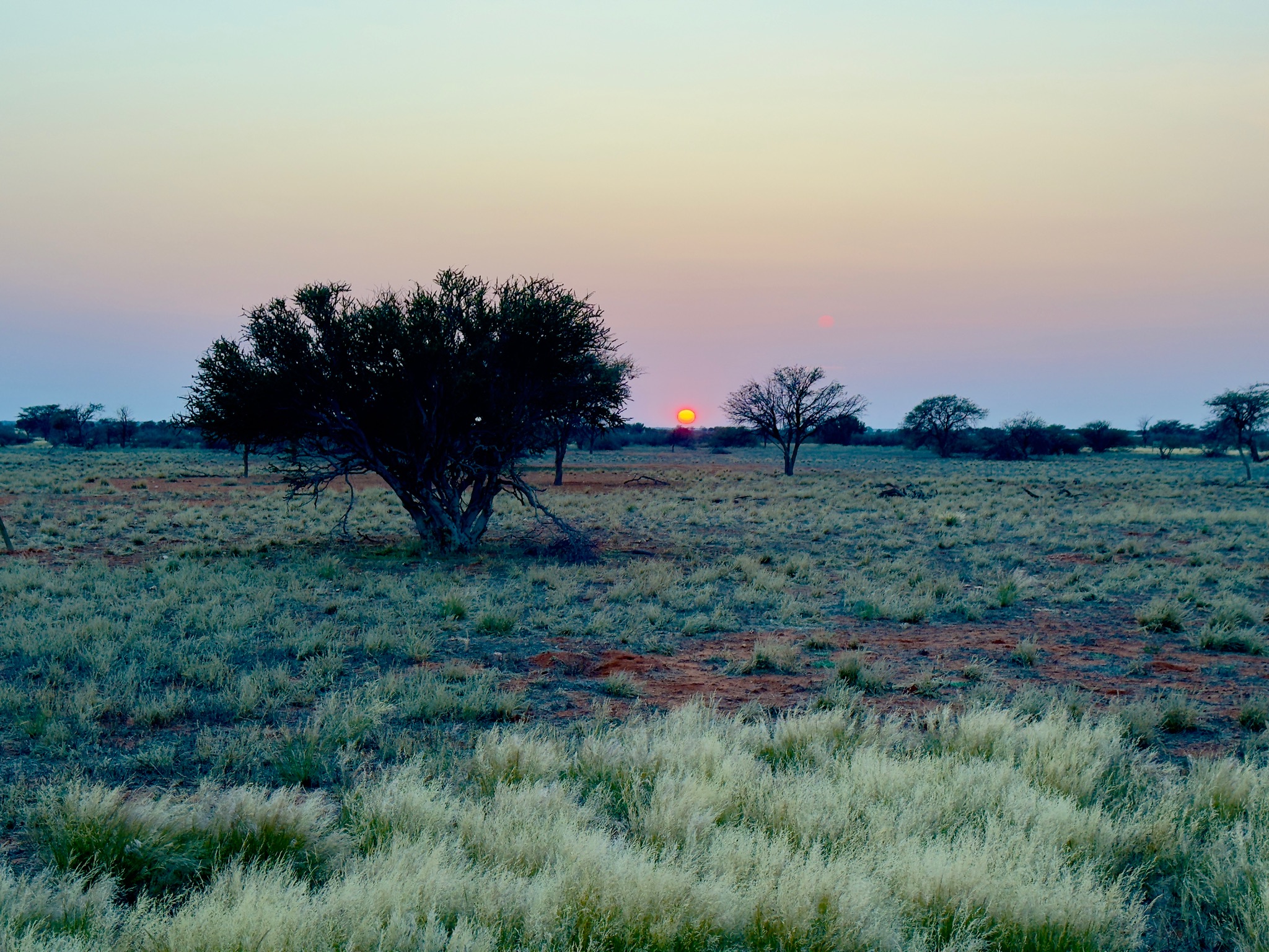 Kalahari → Fish River Canyon 2