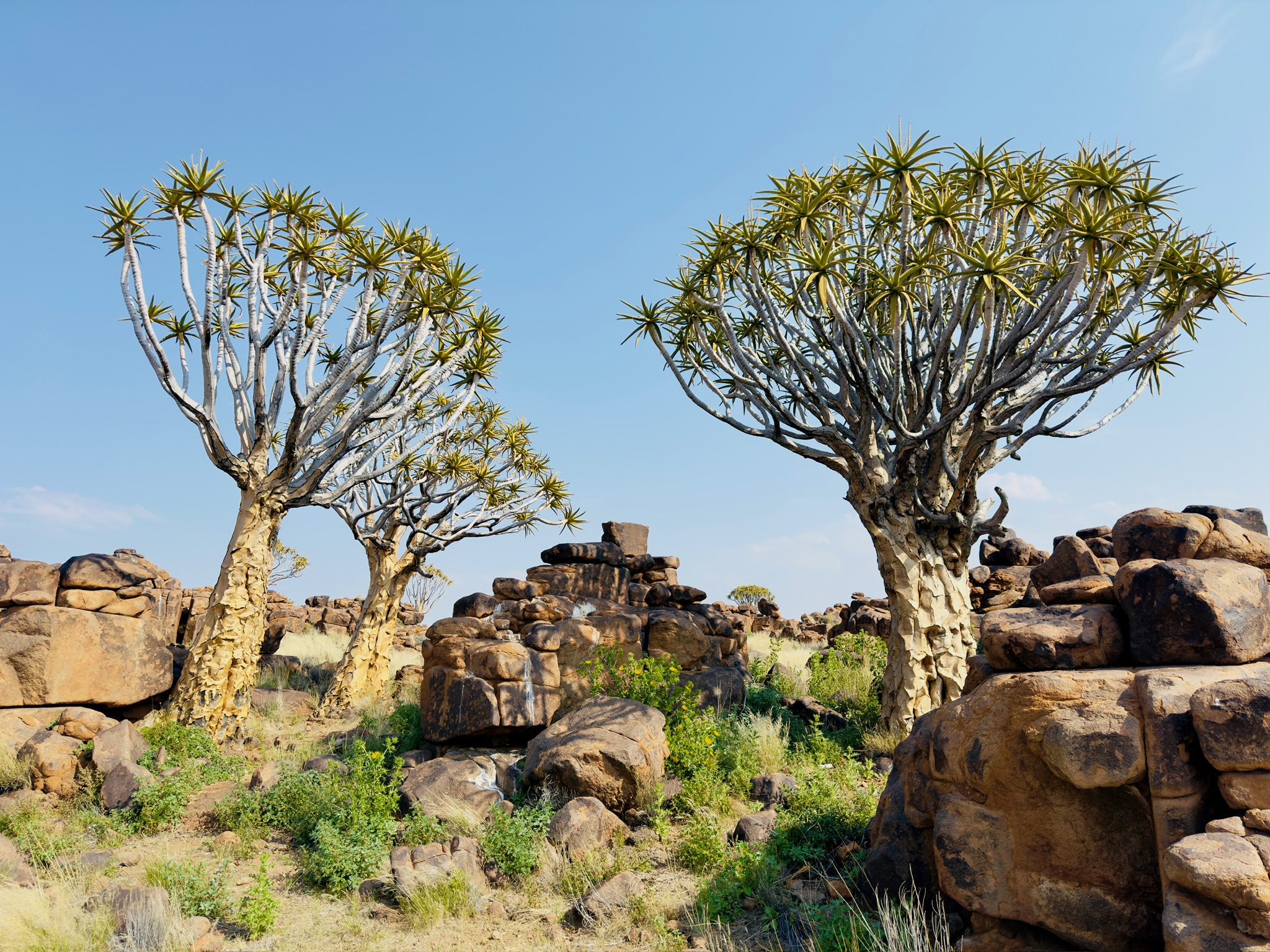 Kalahari → Fish River Canyon