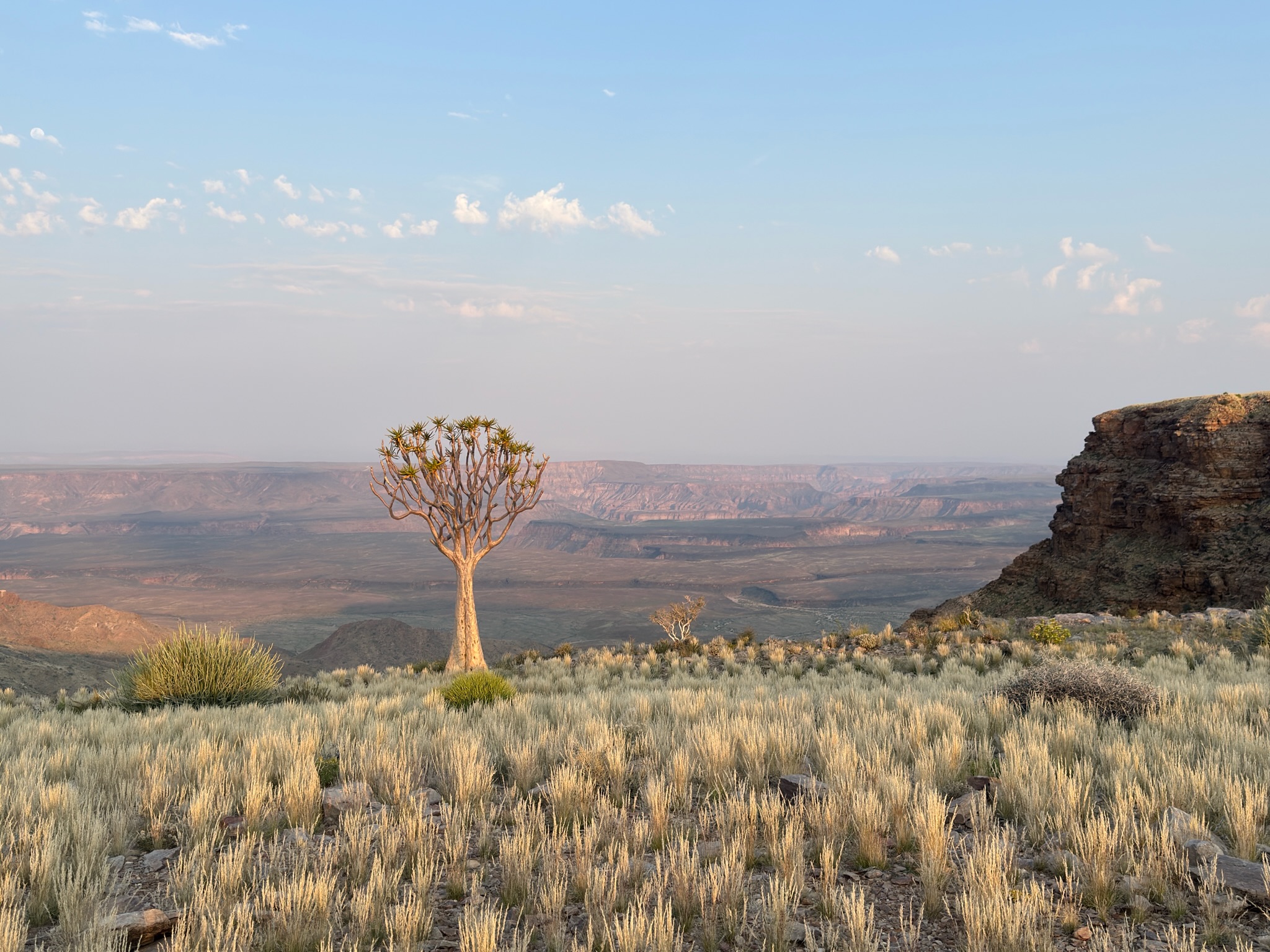 Kalahari → Fish River Canyon 10
