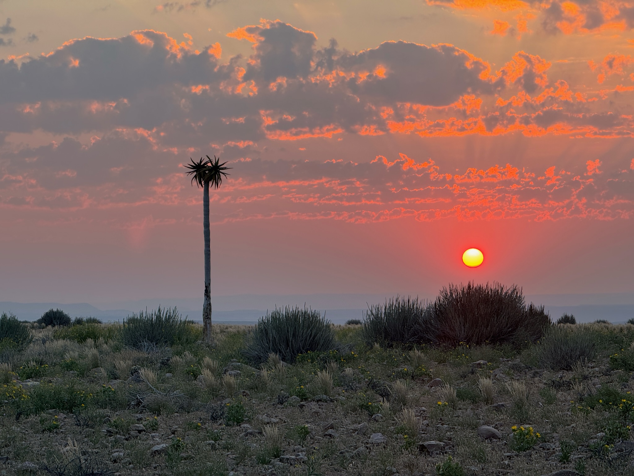 Kalahari → Fish River Canyon 11