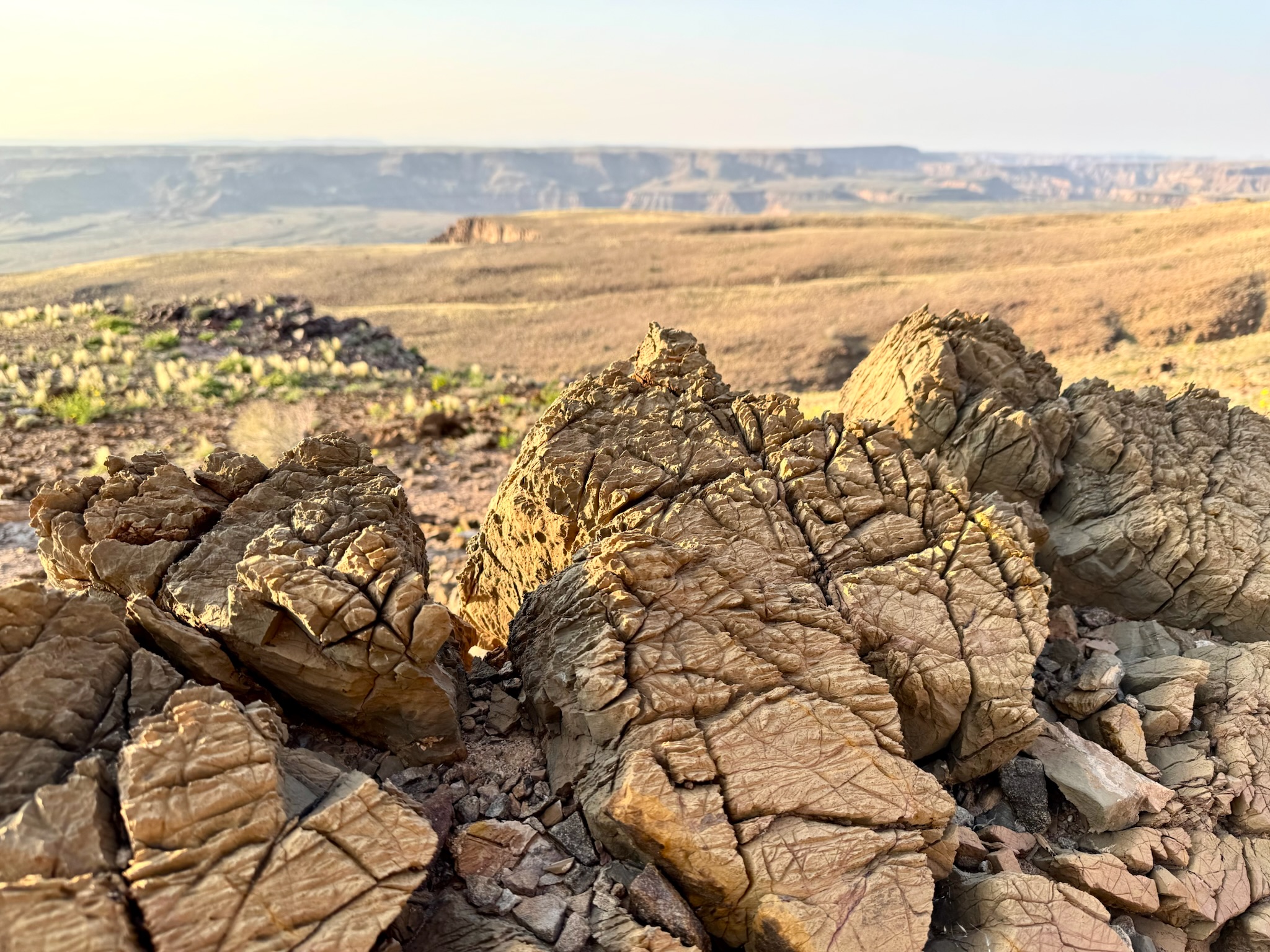 Fish River Canyon 4