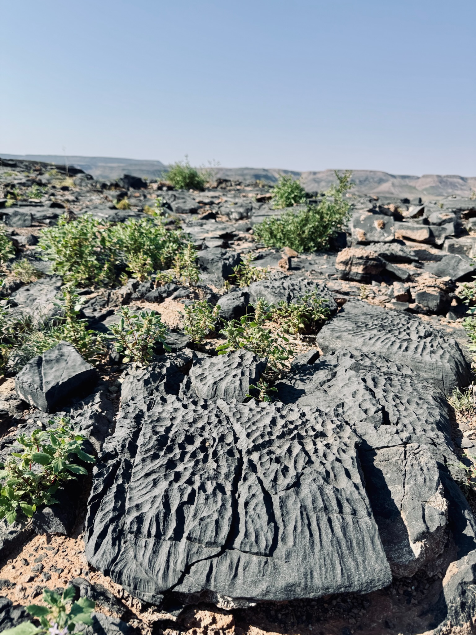 Fish River Canyon 7