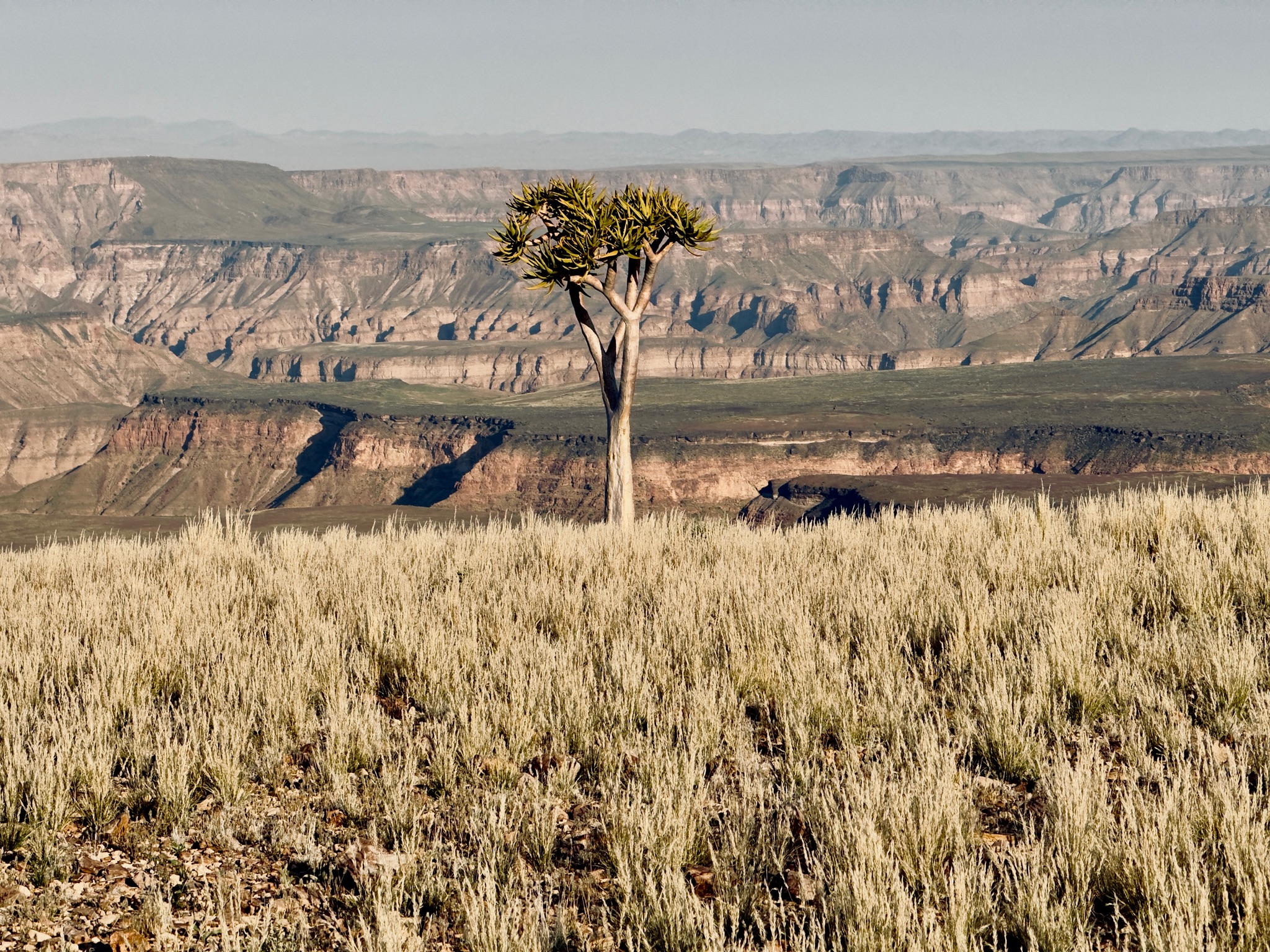 Fish River Canyon 10