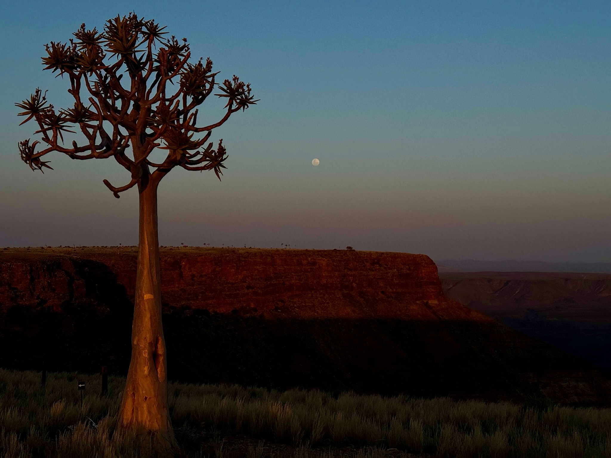 Fish River Canyon 14