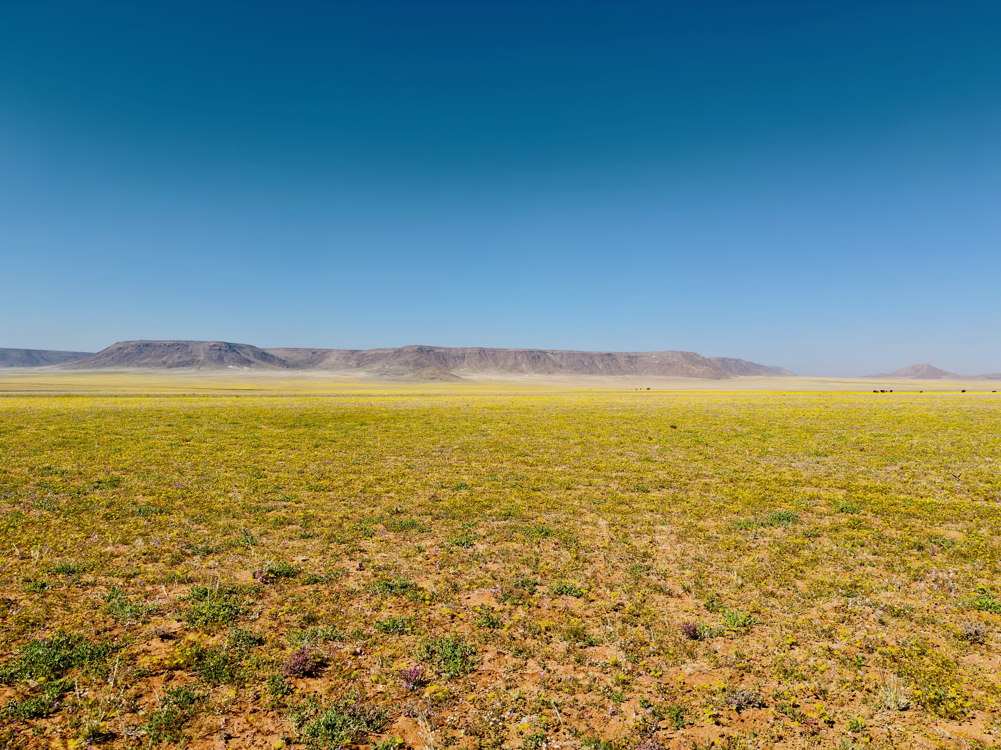 Fish River → Aus 8
