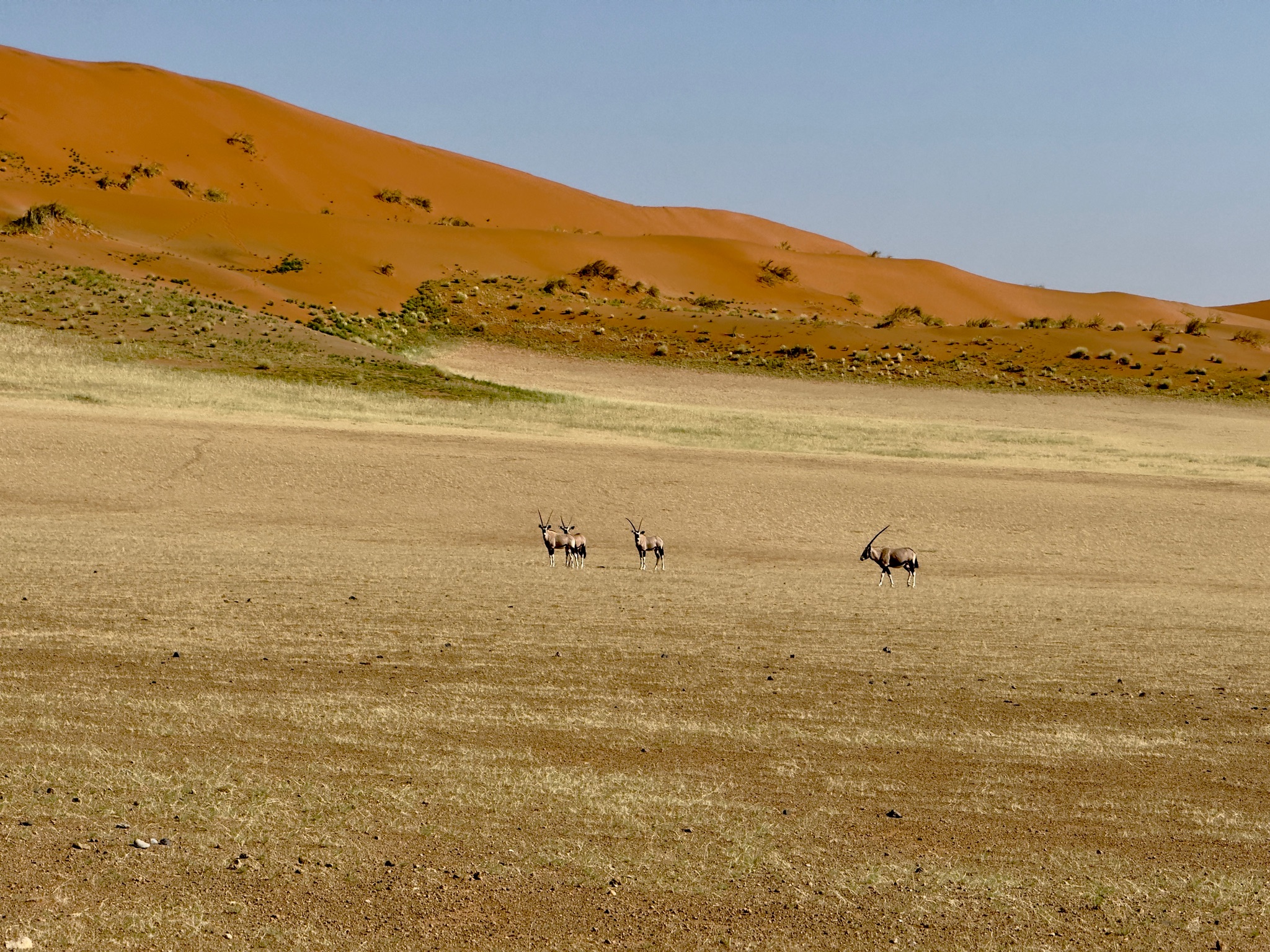 Sossusvlei & Deadvlei 2