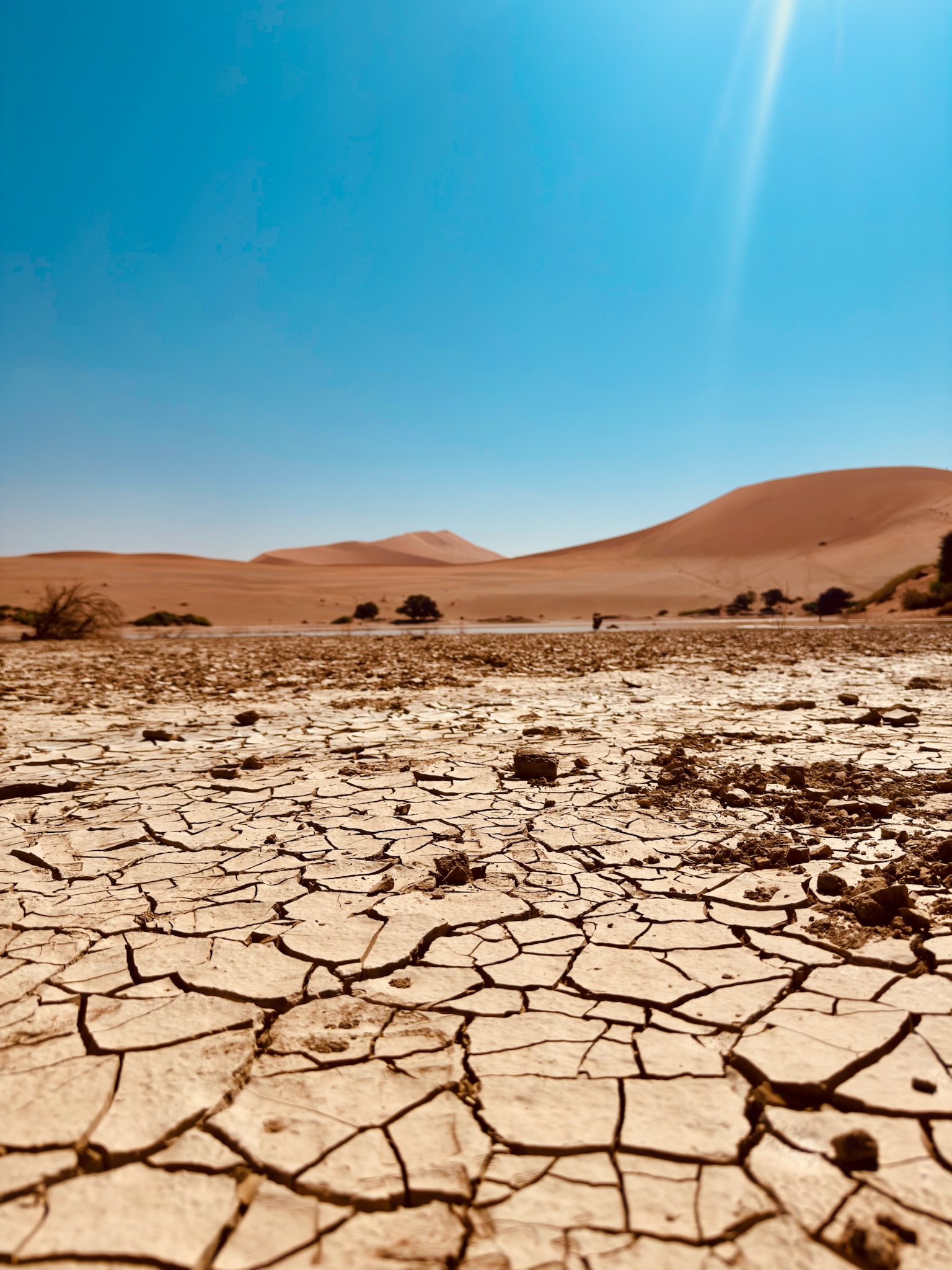 Sossusvlei & Deadvlei 6
