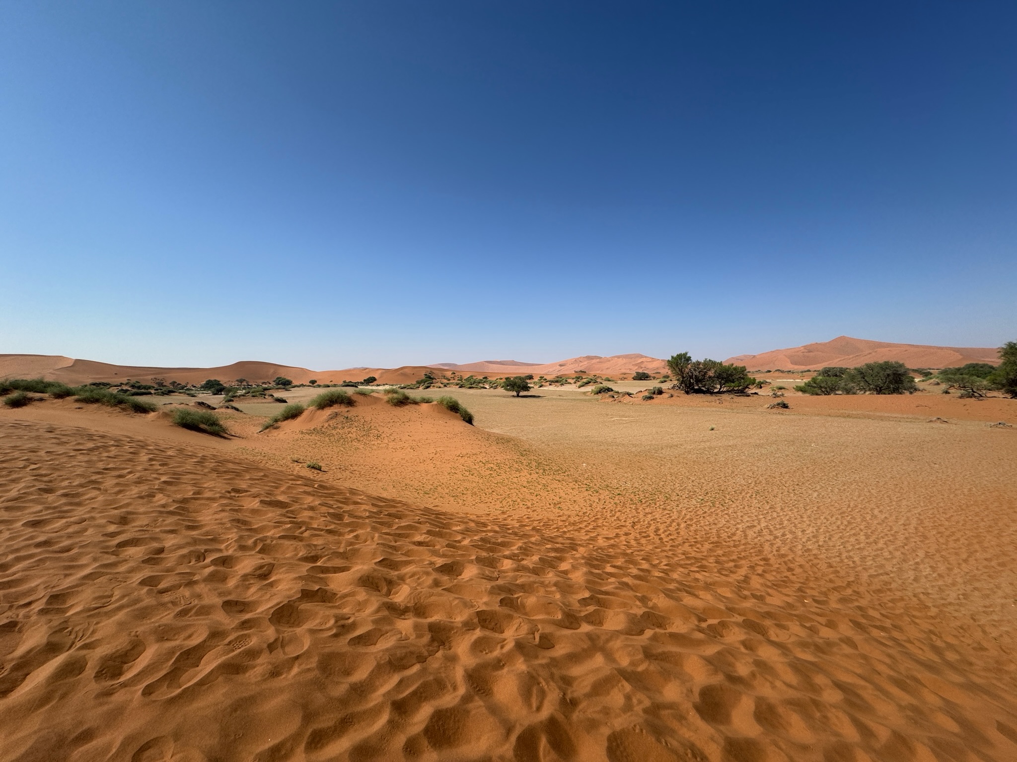 Sossusvlei & Deadvlei 5