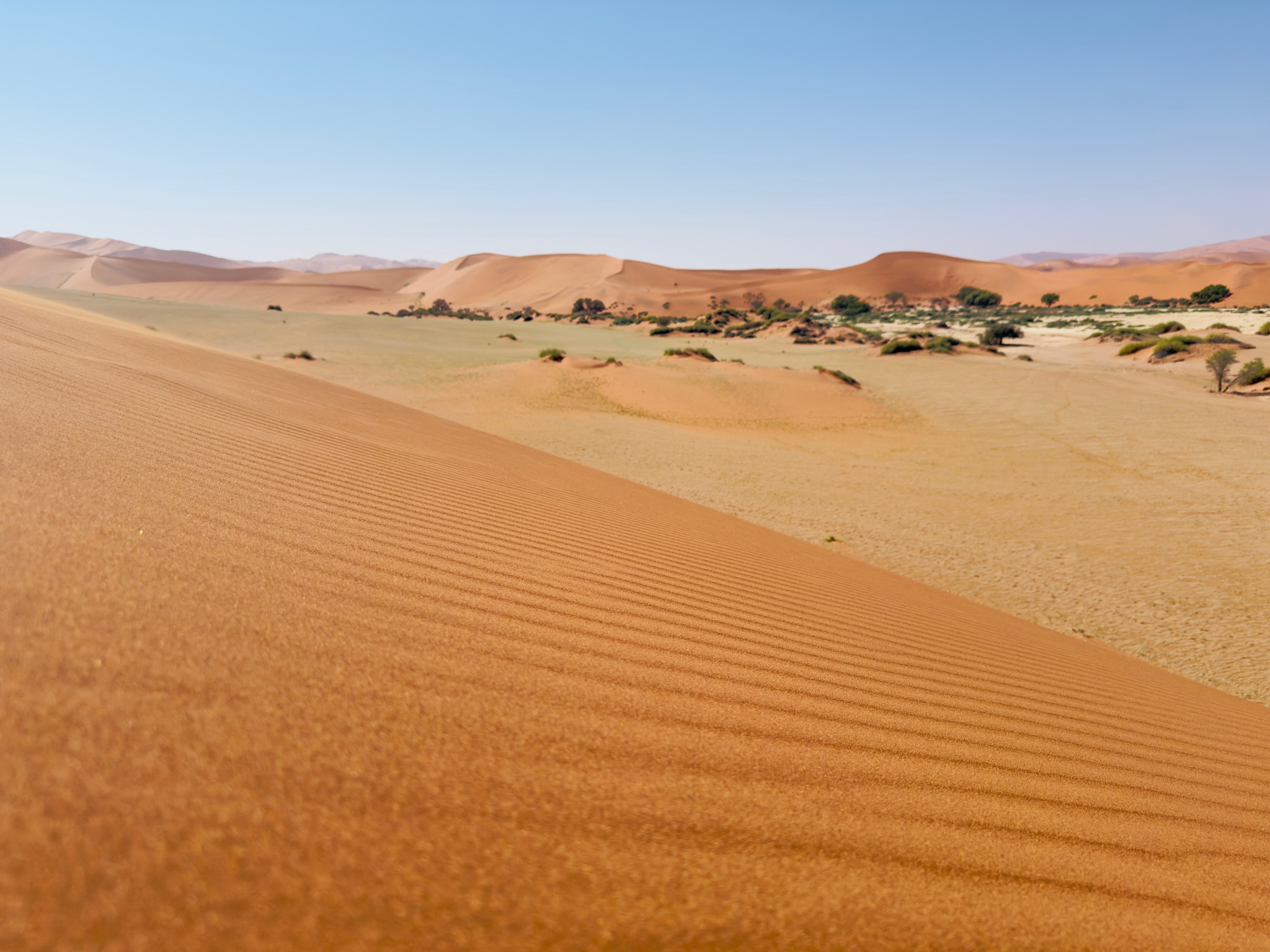 Sossusvlei & Deadvlei 4
