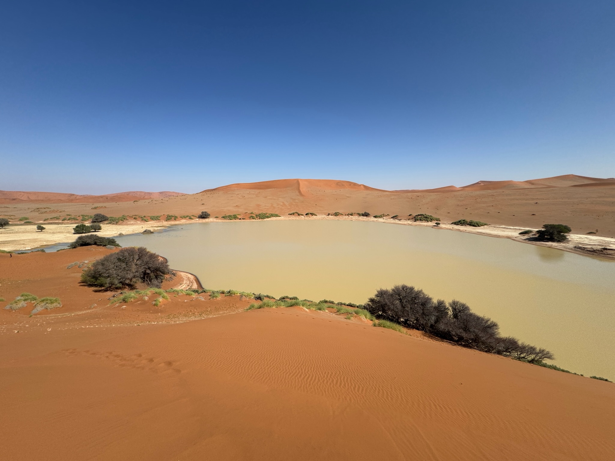 Sossusvlei & Deadvlei