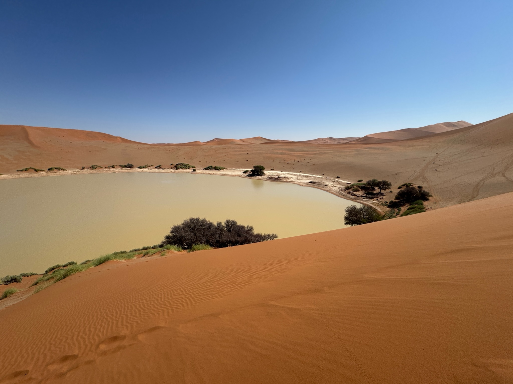 Sossusvlei & Deadvlei 7