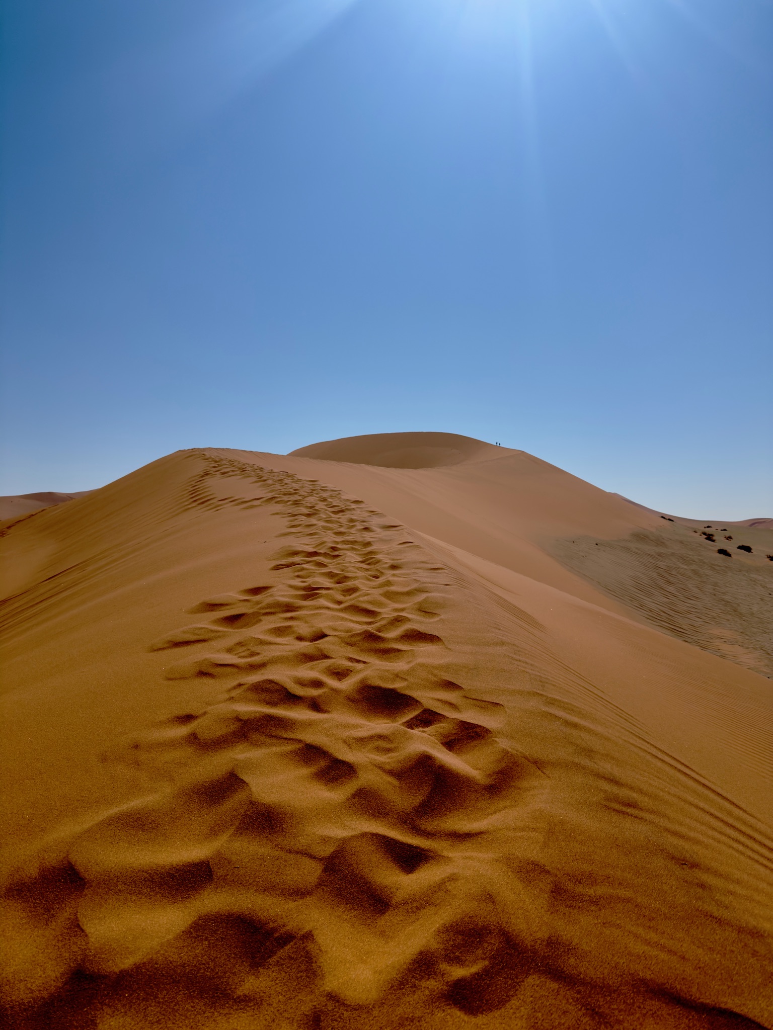 Sossusvlei & Deadvlei 8