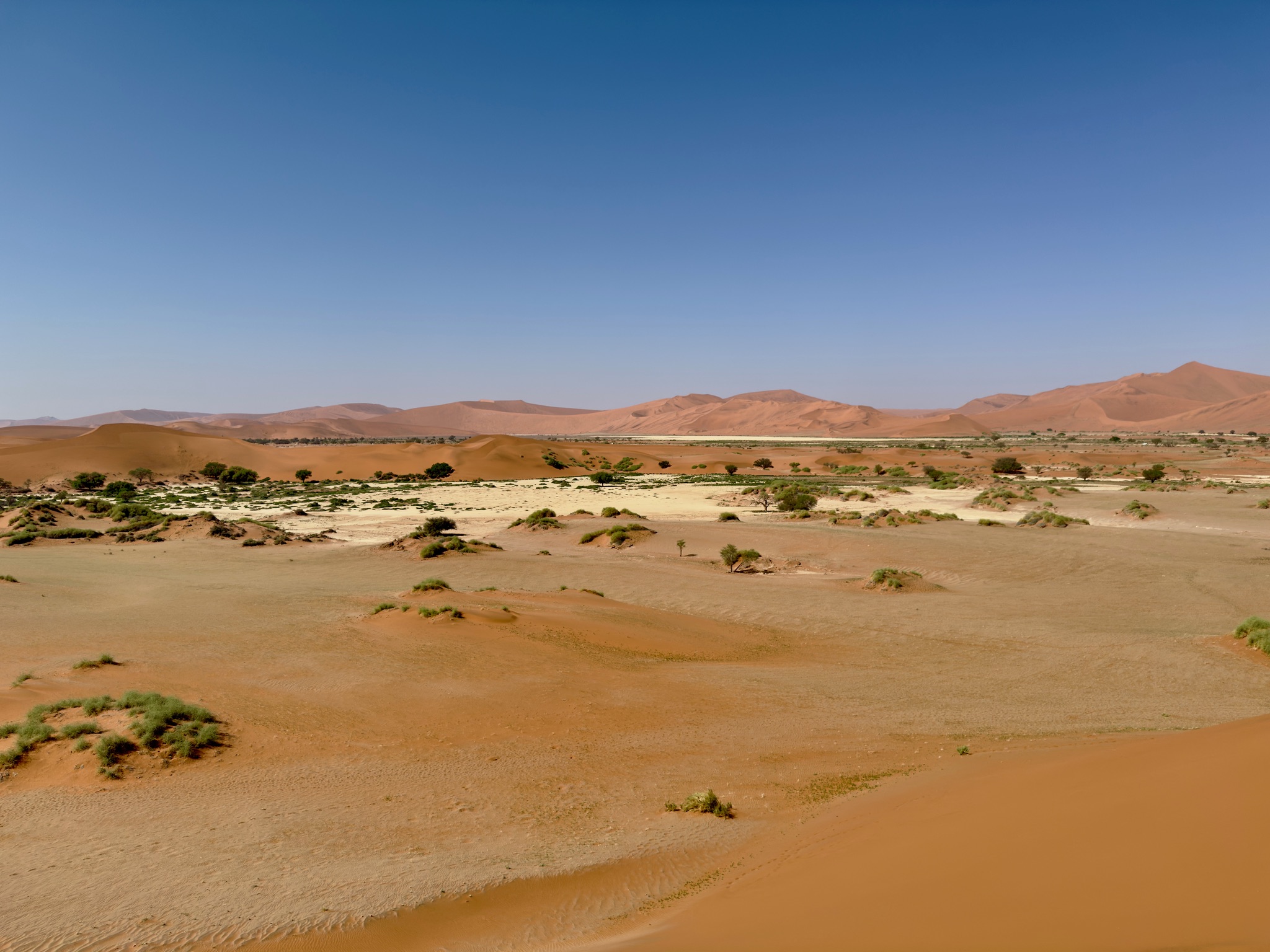 Sossusvlei & Deadvlei 9