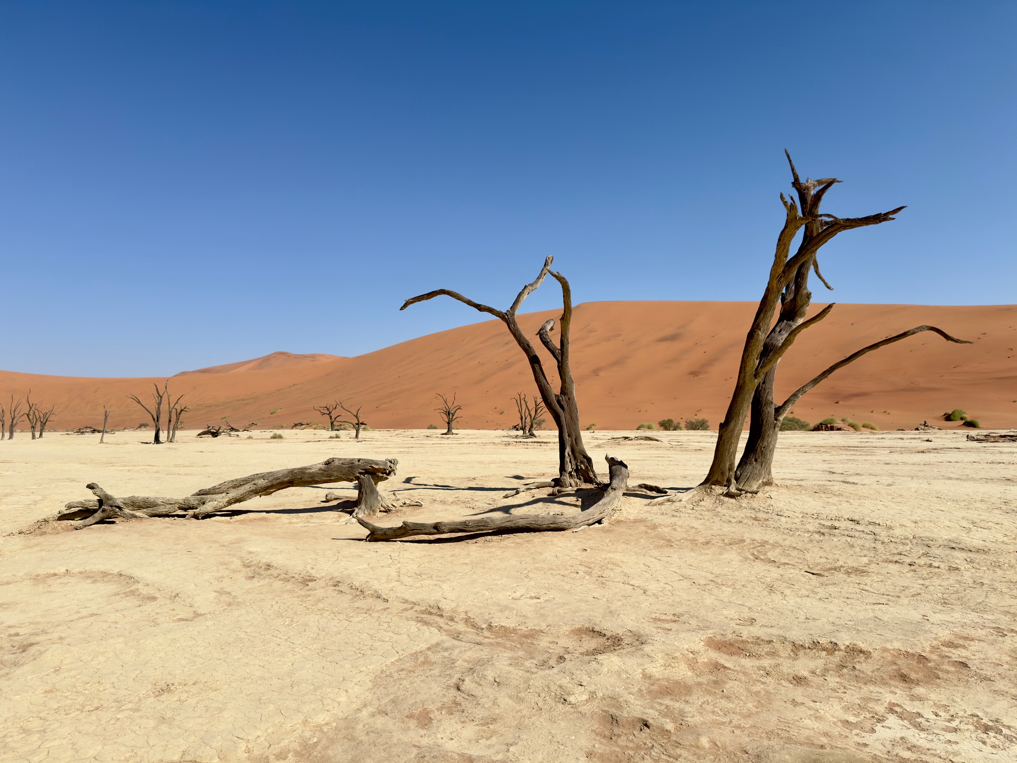 Sossusvlei & Deadvlei 10