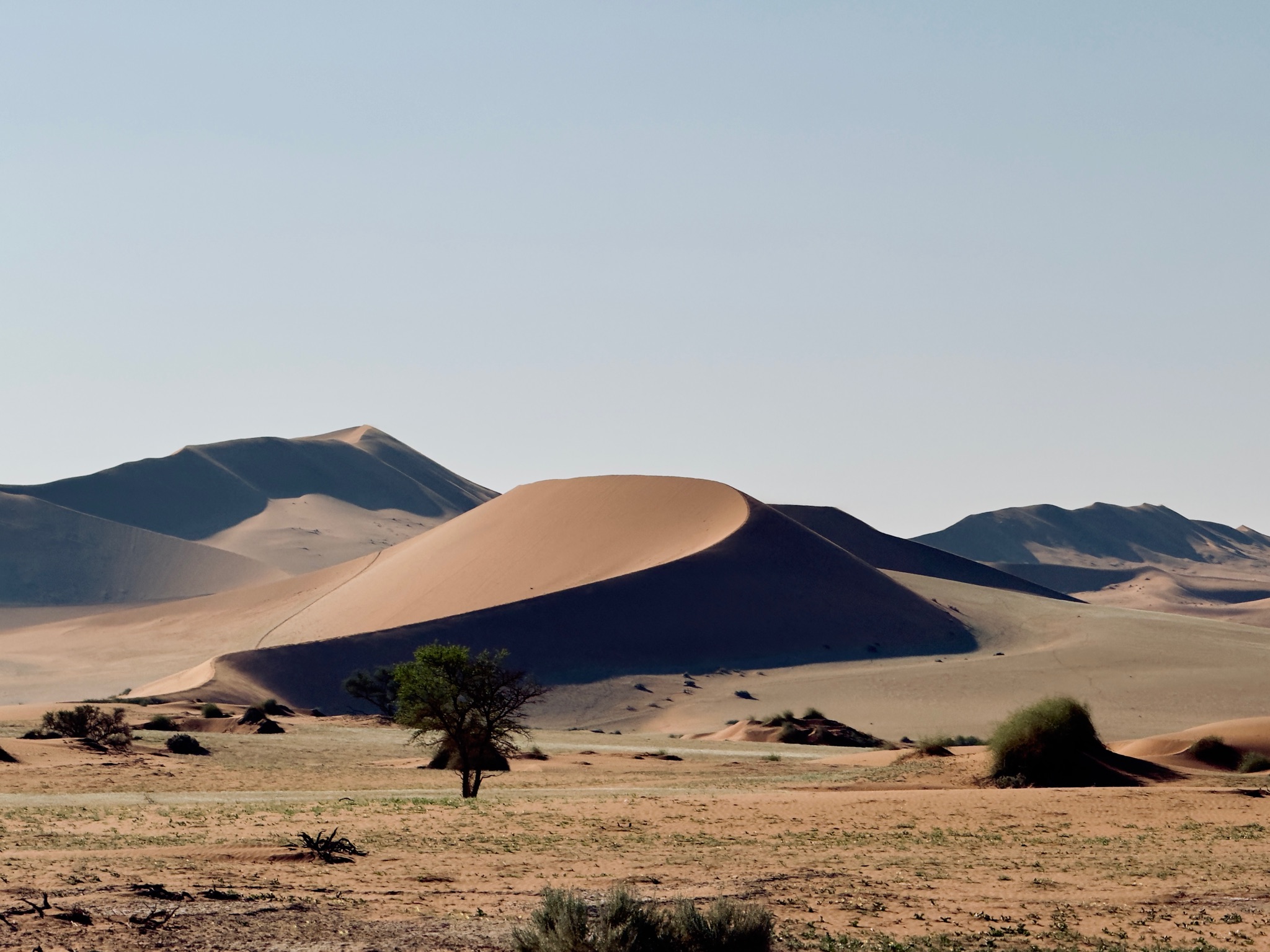 Sossusvlei & Deadvlei 11