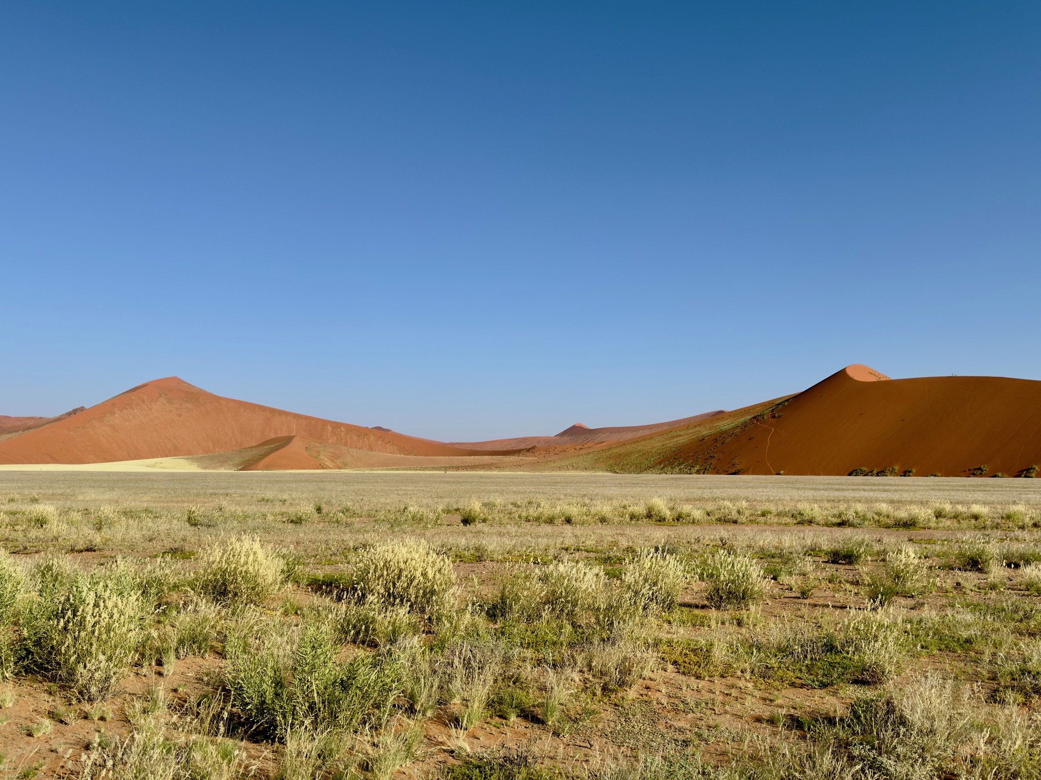 Sossusvlei & Deadvlei 13