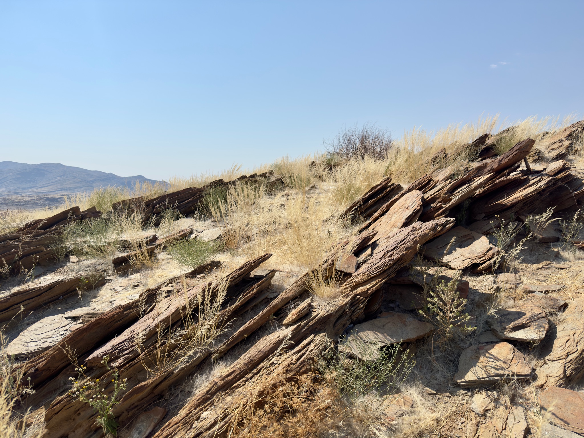 Sossusvlei → Swakopmund 8