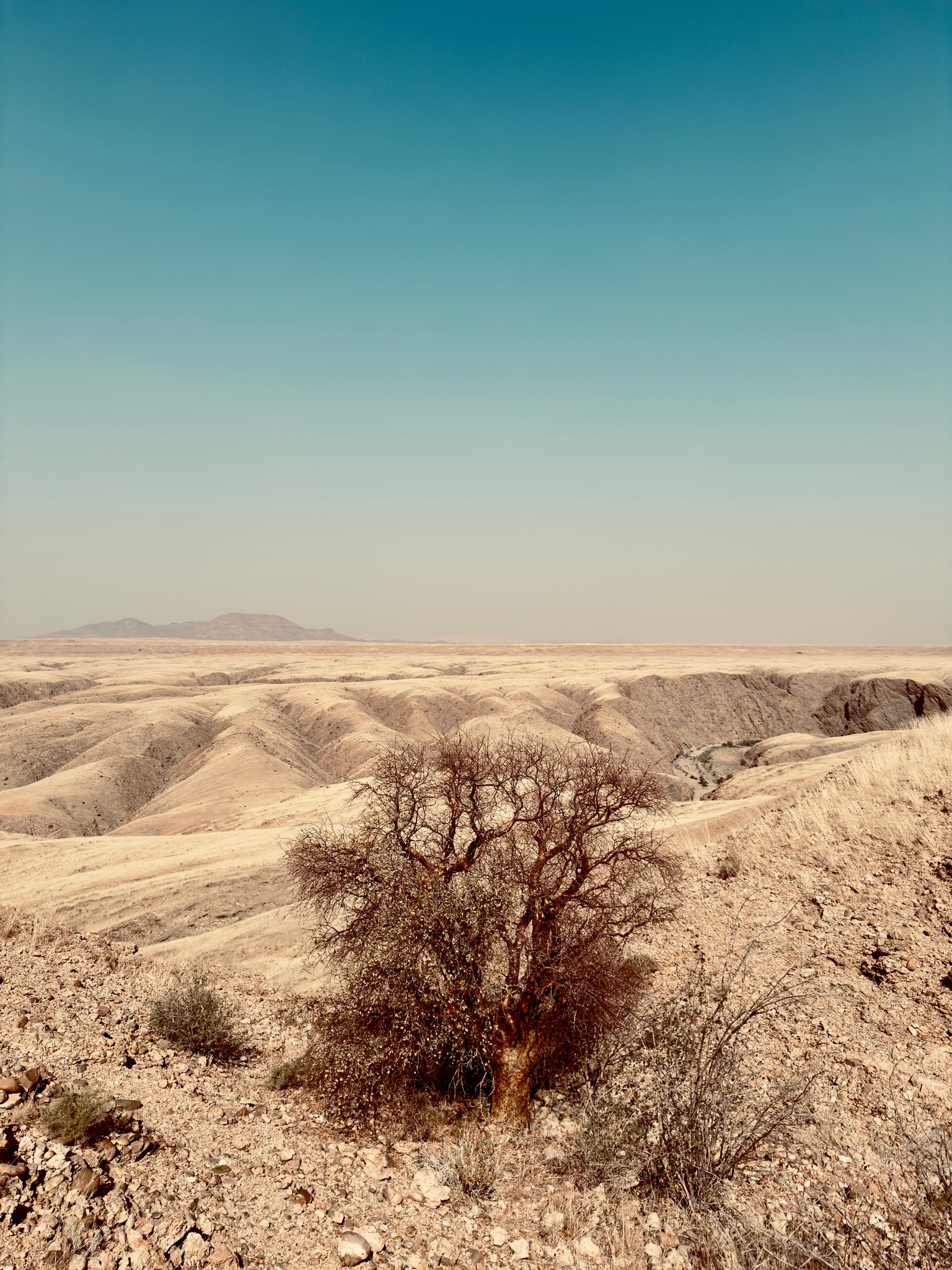 Sossusvlei → Swakopmund 11