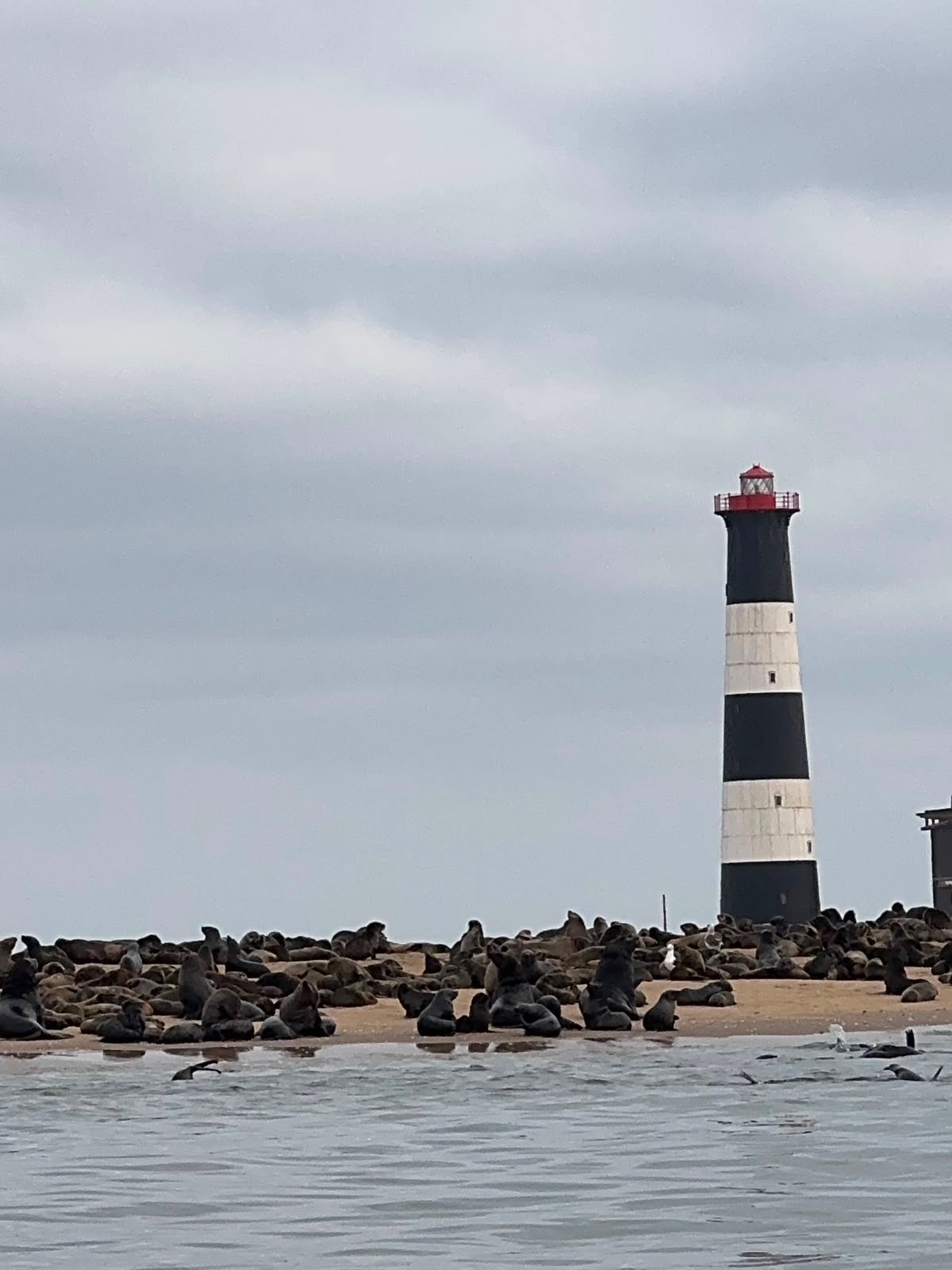 Swakopmund & Walvis Bay 10
