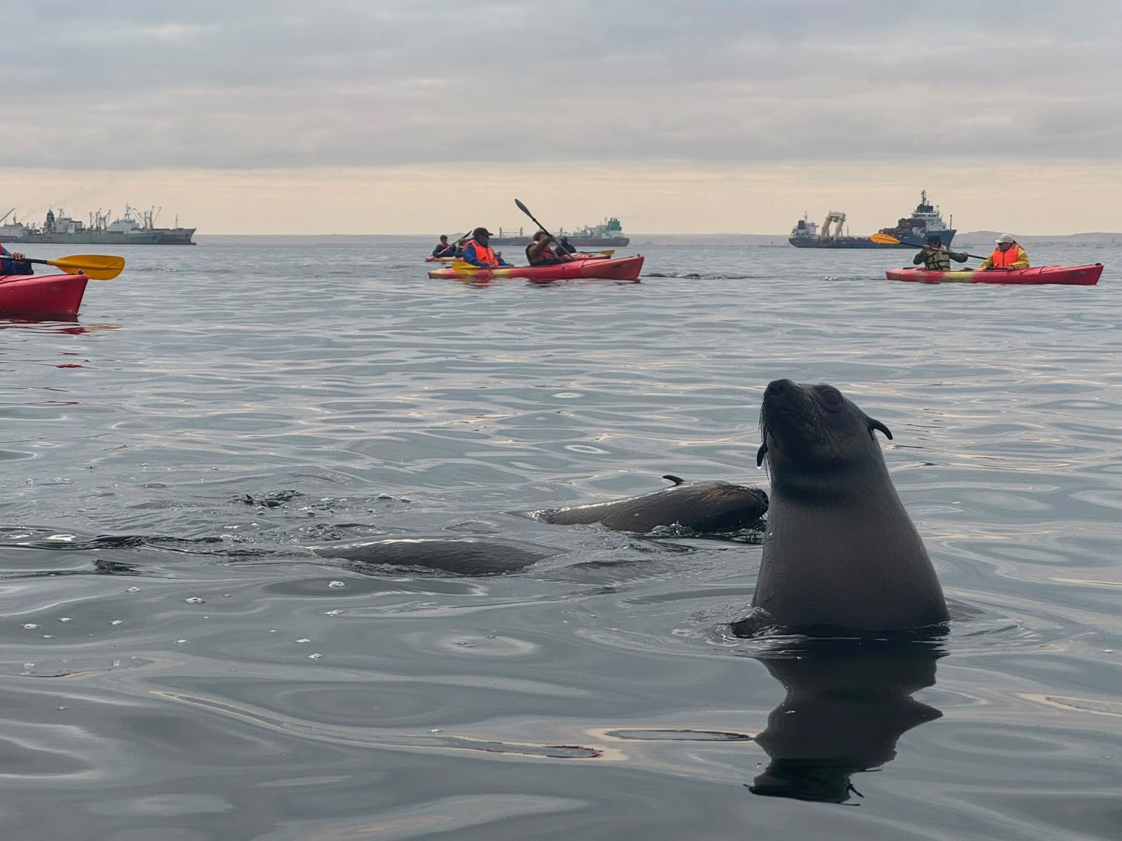 Swakopmund & Walvis Bay