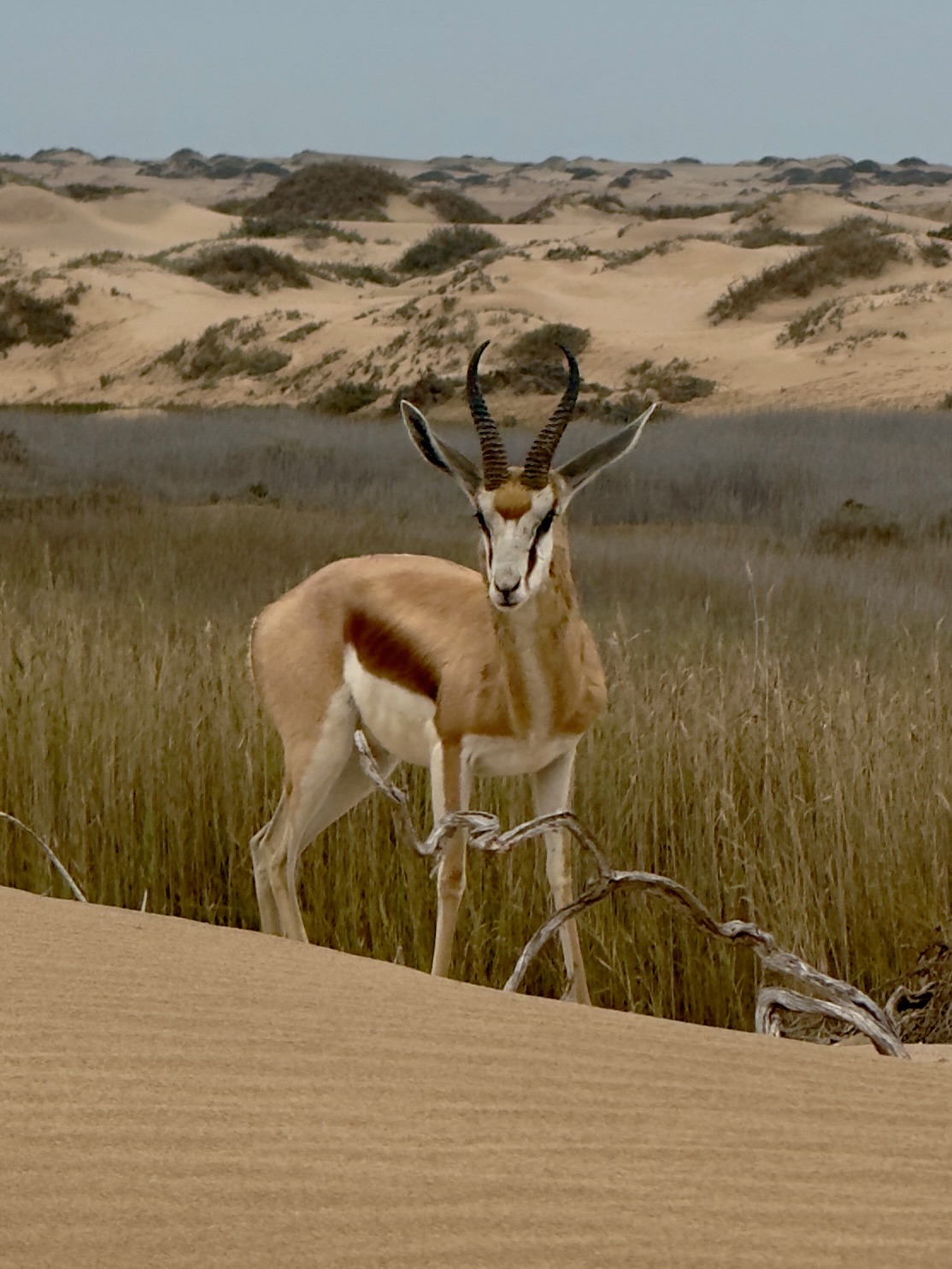Swakopmund & Walvis Bay 1