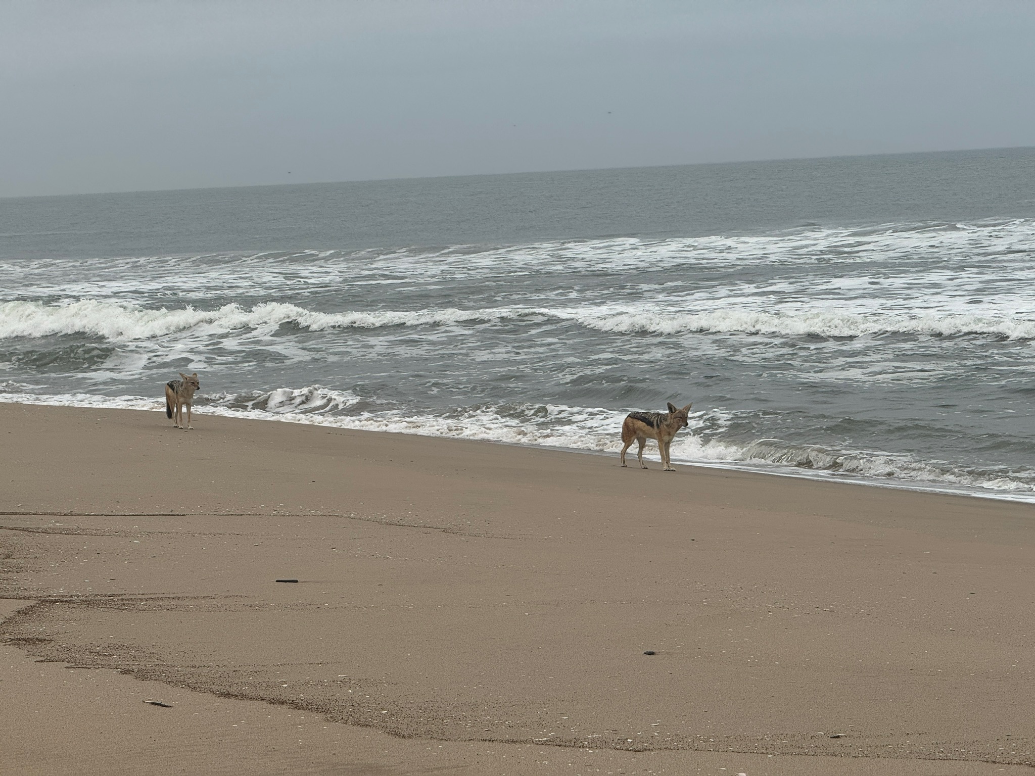 Swakopmund & Walvis Bay 5