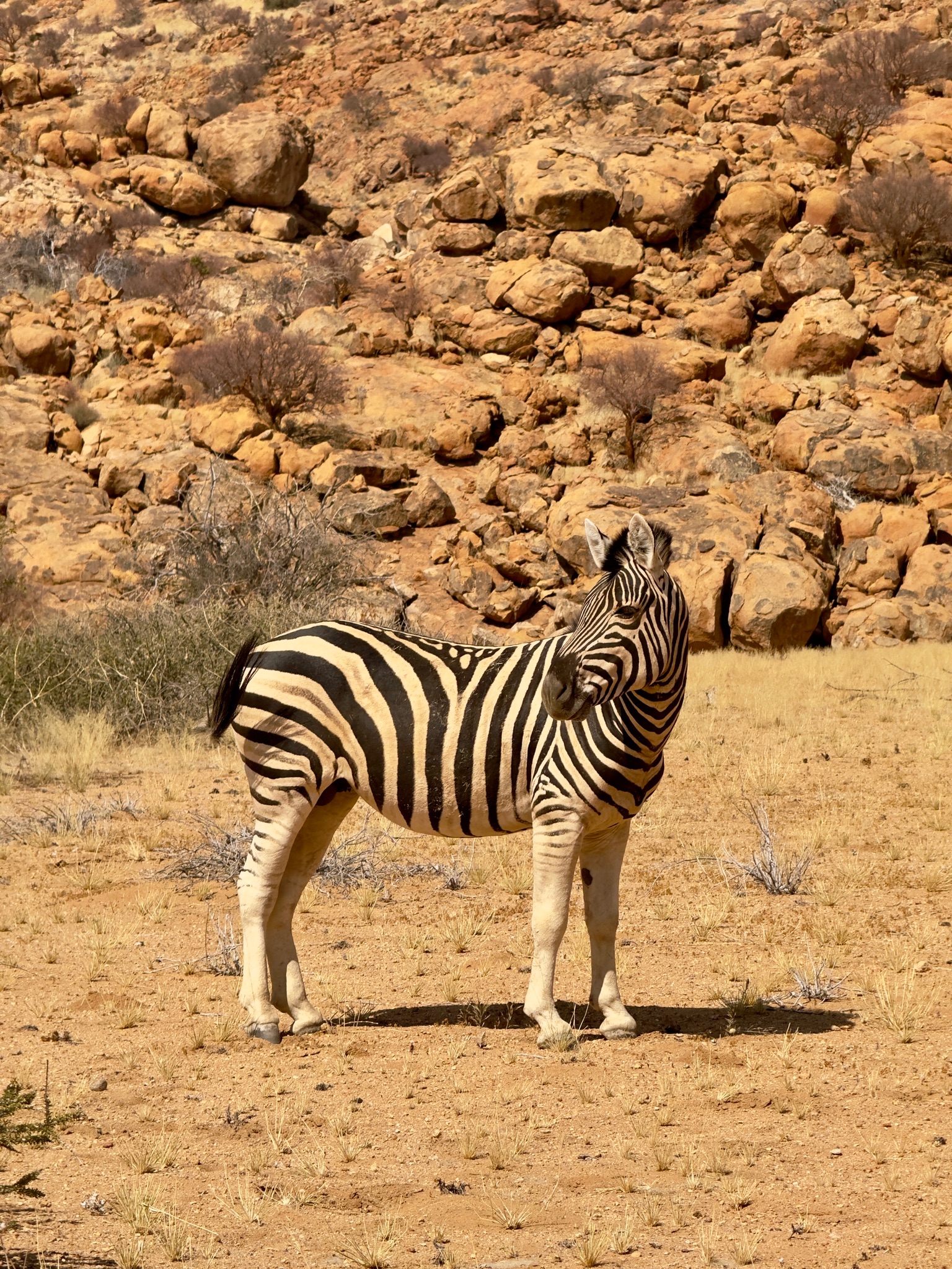 Day at Spitzkoppe 9