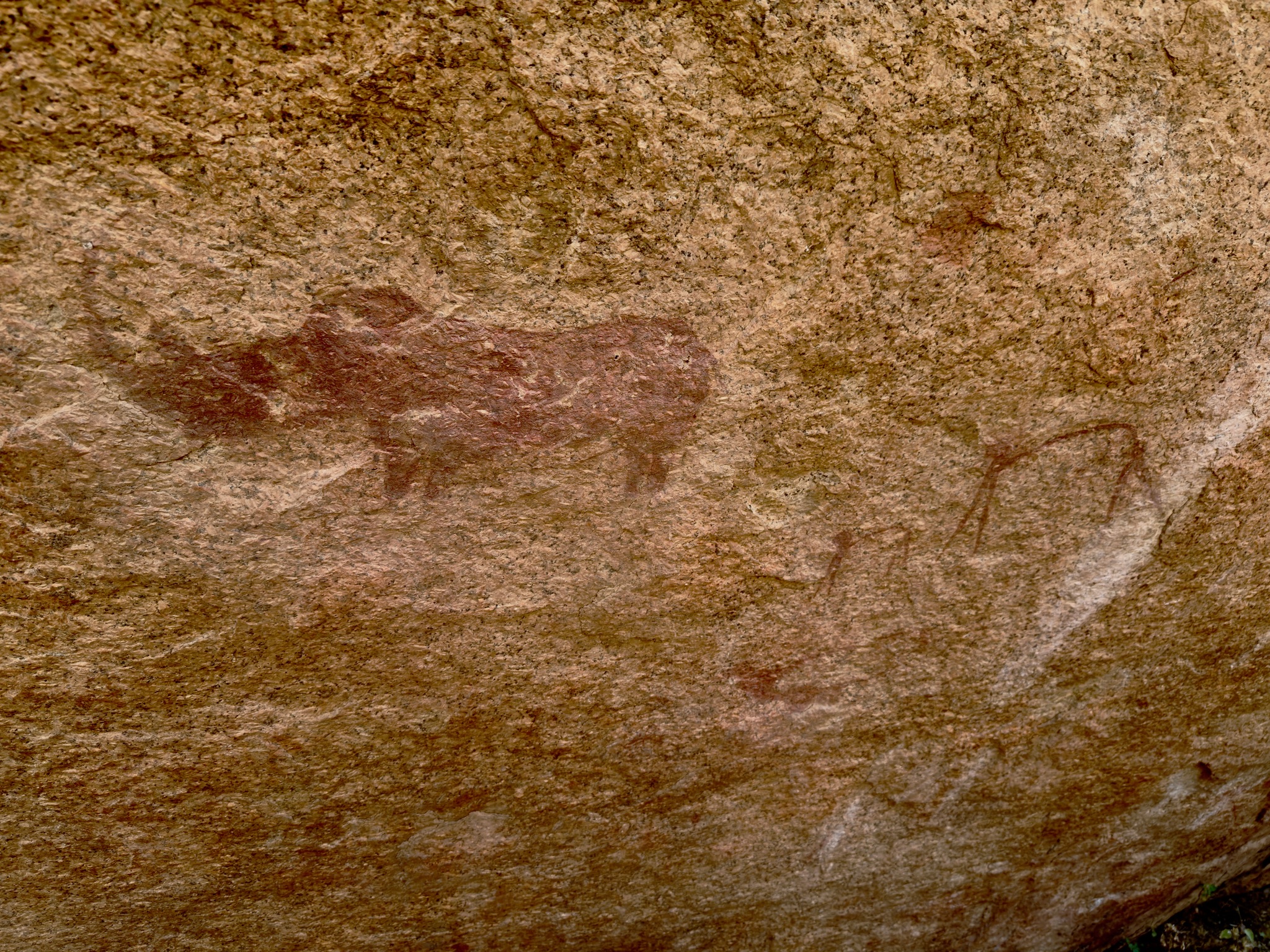 Day at Spitzkoppe 10