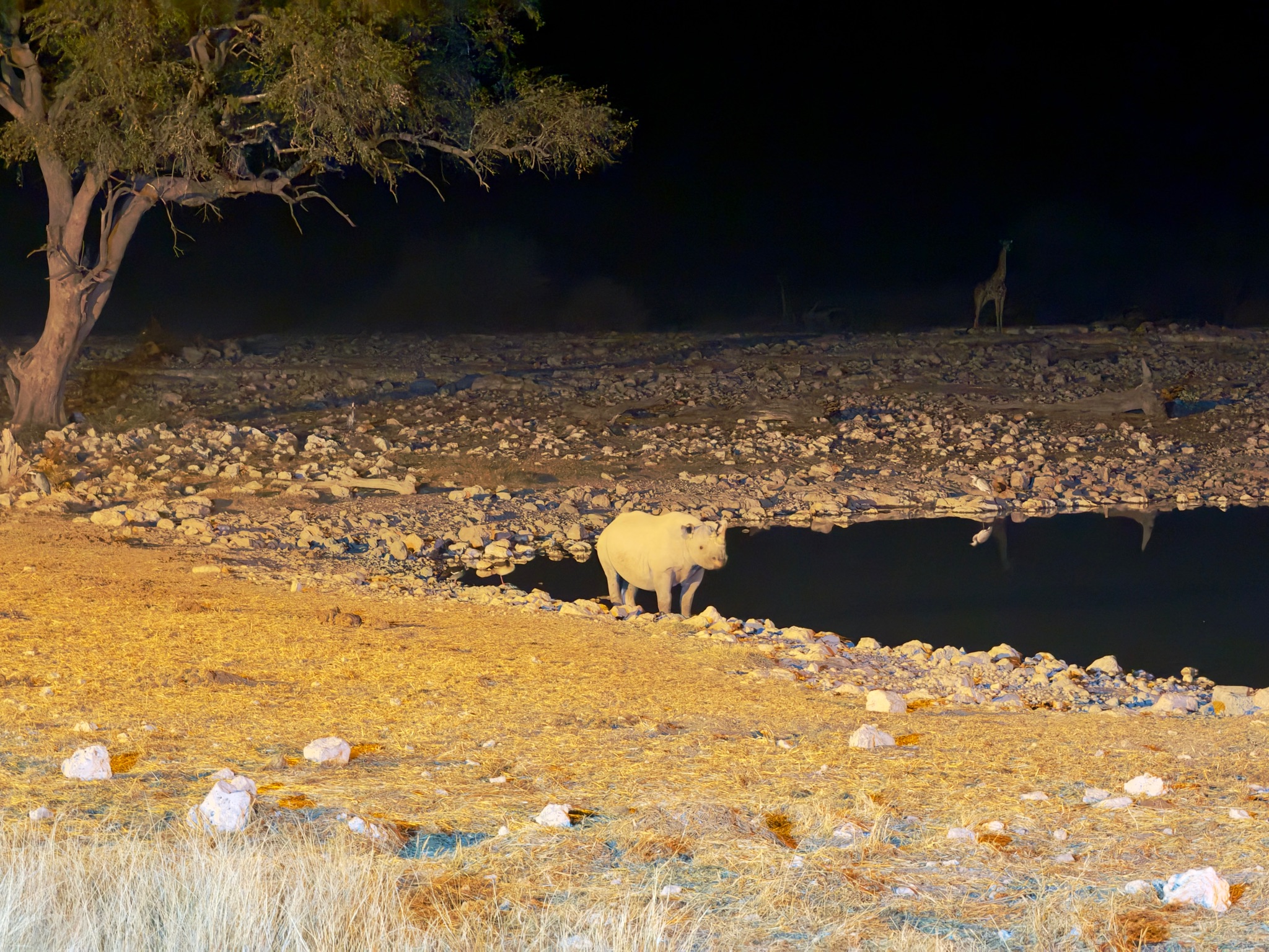 Huab → Etosha 8