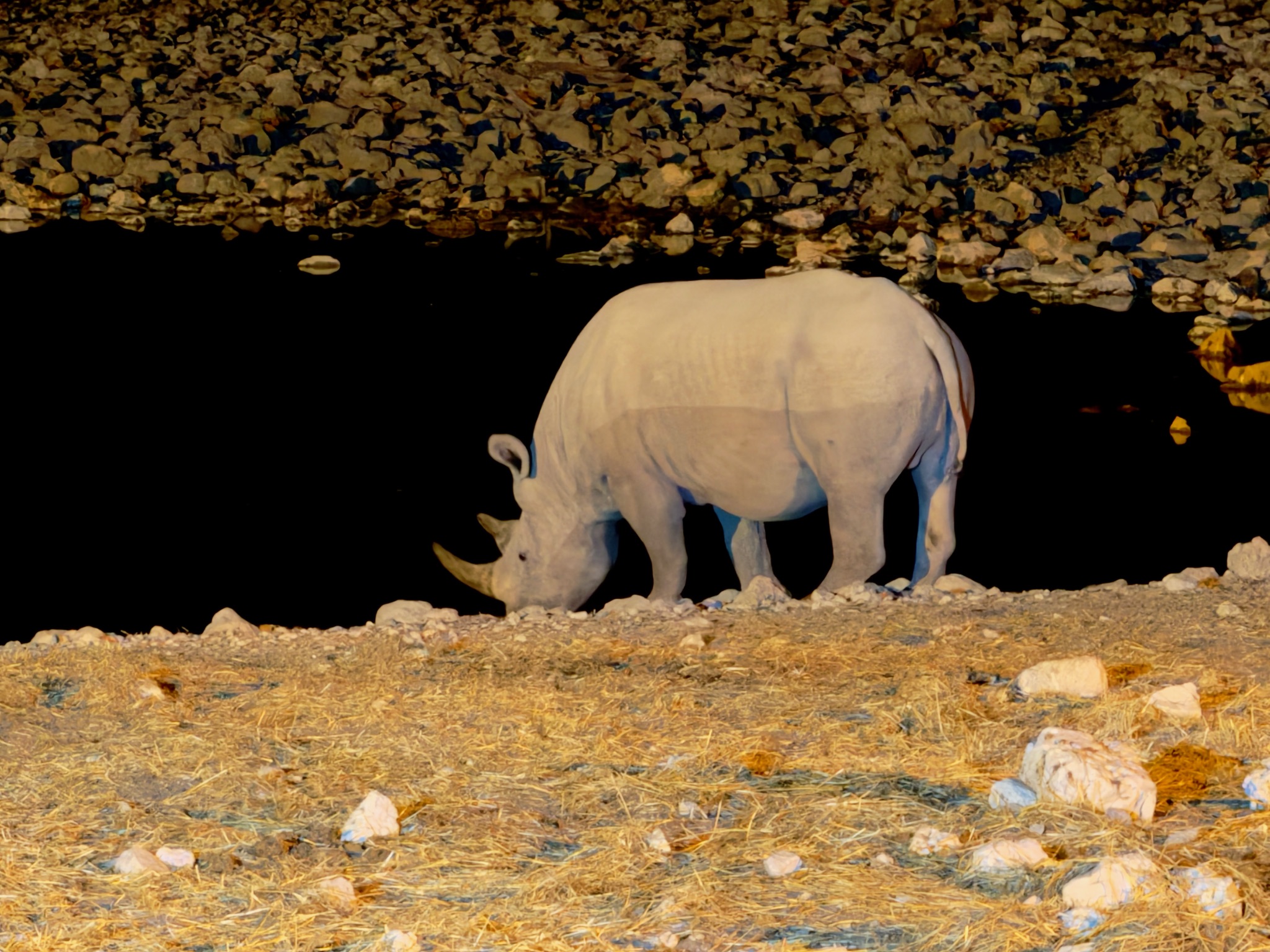 Huab → Etosha 9