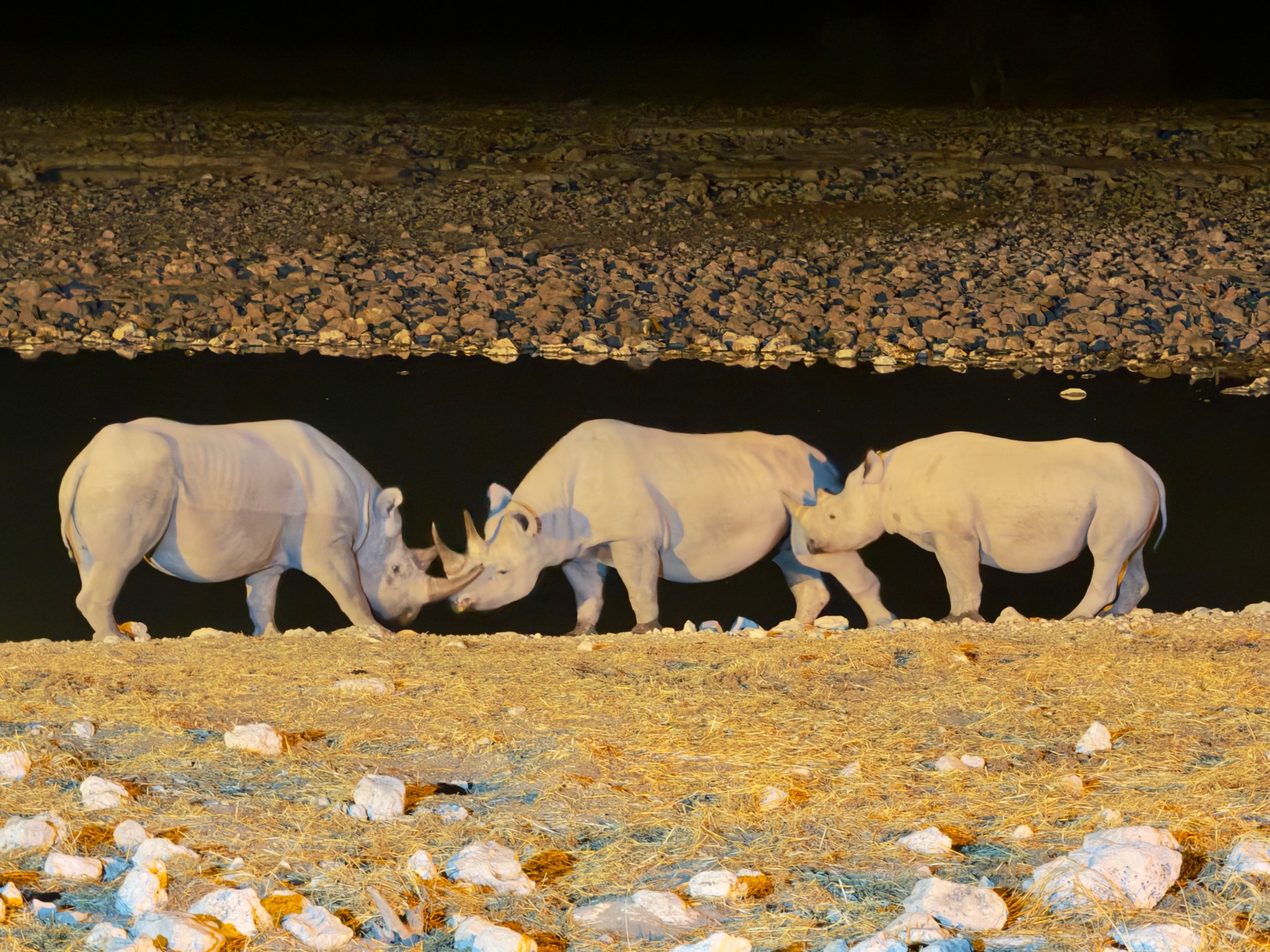 Huab → Etosha 10