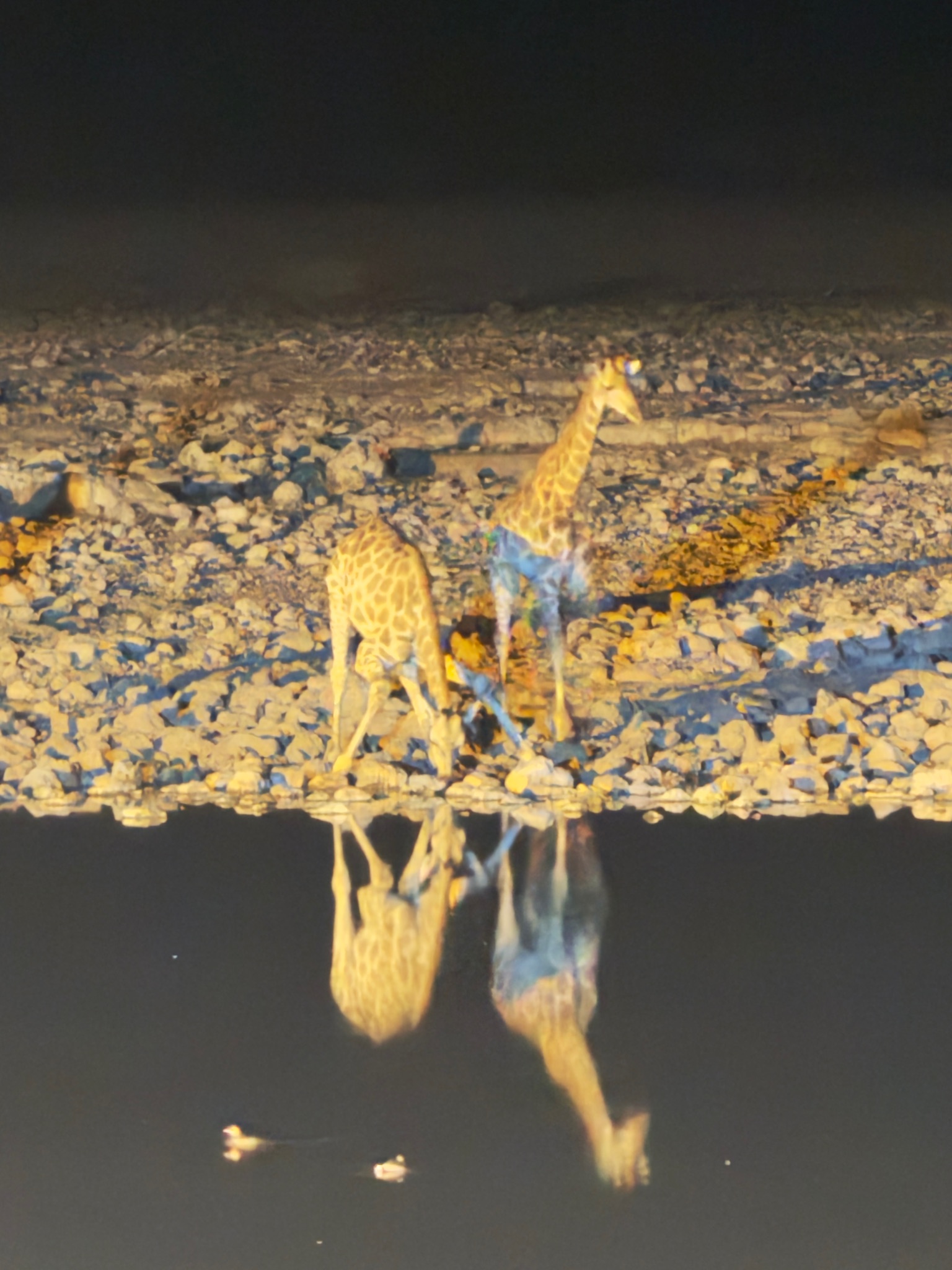 Huab → Etosha 11