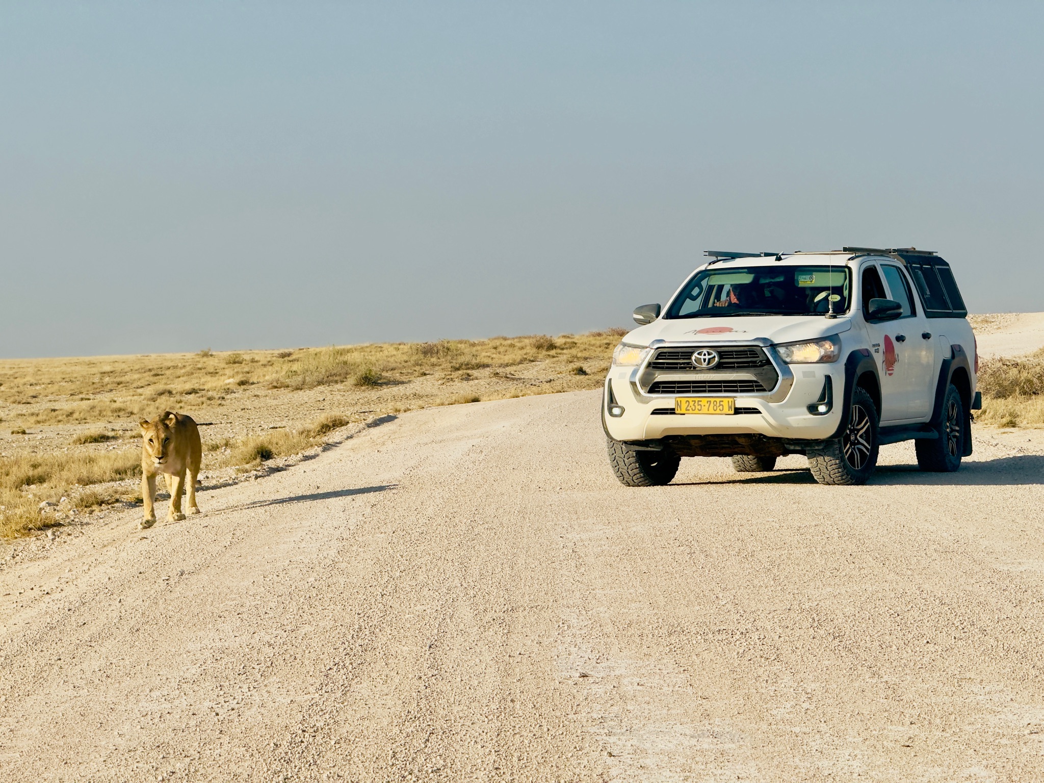 Etosha — Okaukuejo Safari