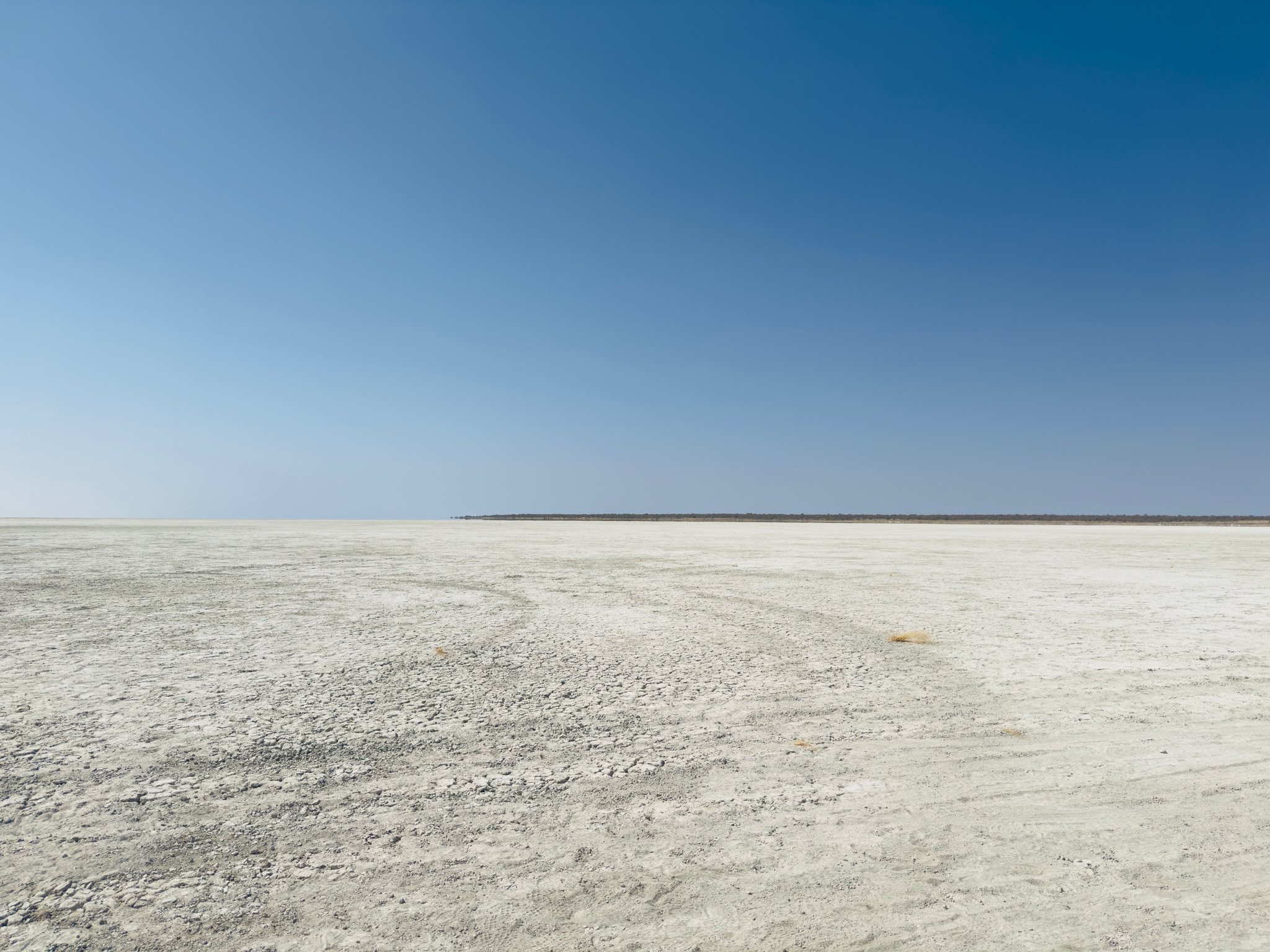 Etosha — Halali & Namutoni 2